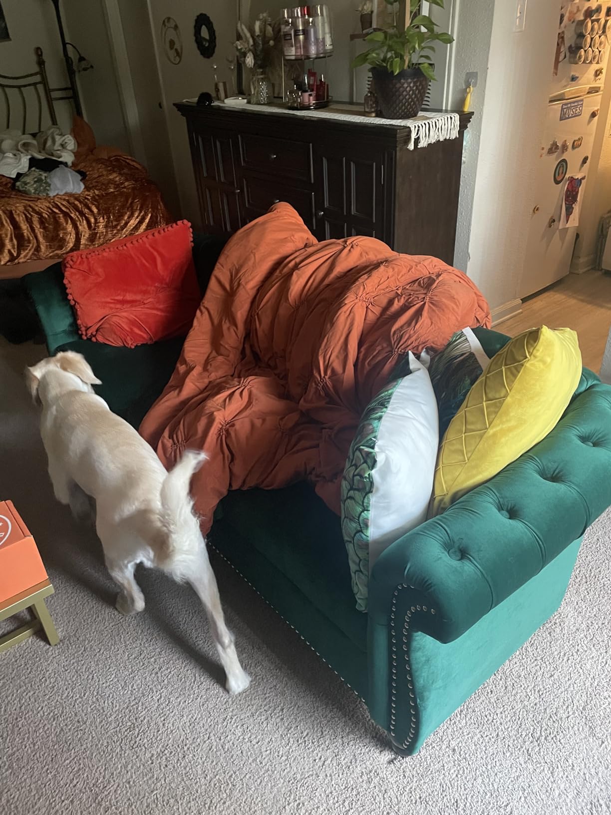 ORRD Chesterfield Sofa Velvet, Modern Tufted Couch 3 Seater with Rolled Arms and Nailhead, Green customer photo 2