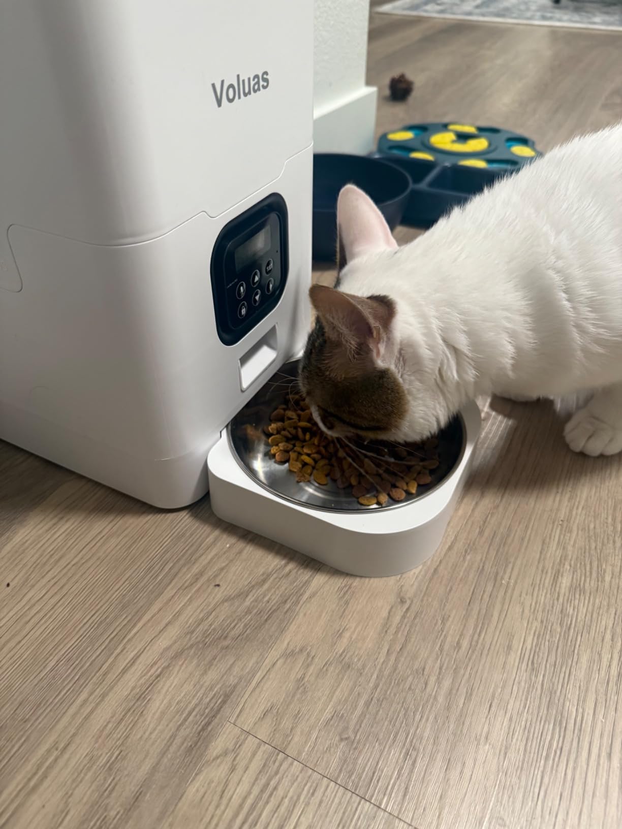 VOLUAS Automatic Cat Feeder, 4L Timed Dry Food Dispenser for Cats & Dogs | Programmable Portion Control, Up to 4 Meals Daily, Dual Power Supply, Power-Off Memory, 10-Second Voice Recorder customer photo 2
