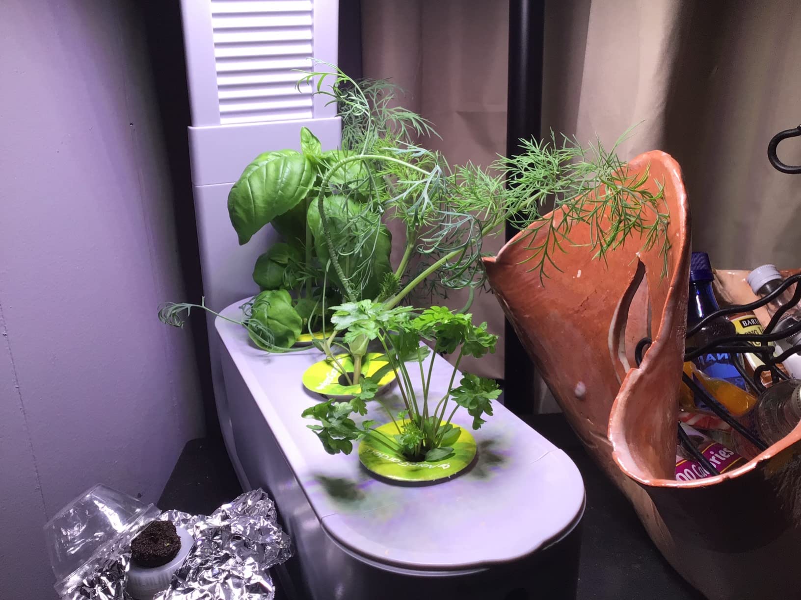 Sprout, Cool Gray | Indoor Garden with LED Grow Light customer photo 1