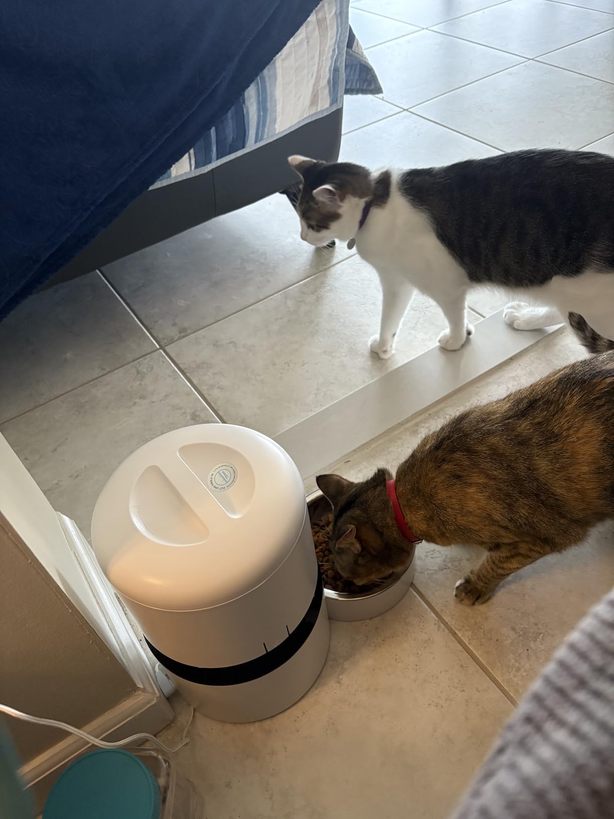 PETLIBRO Automatic Cat Feeder, 5G WiFi Automatic Dog Food Dispenser with Freshness Preservation, 5L Timed Pet Feeder with Low Food Sensor, Up to 10 Meals Per Day, Granary Black customer photo 2