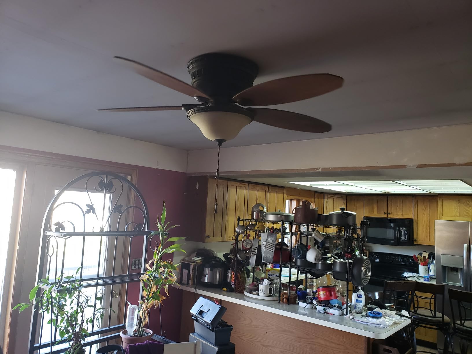 Wagner Spraytech 725 Wallpaper Steamer for Easy Removal, 2 Steam Plates customer photo 1