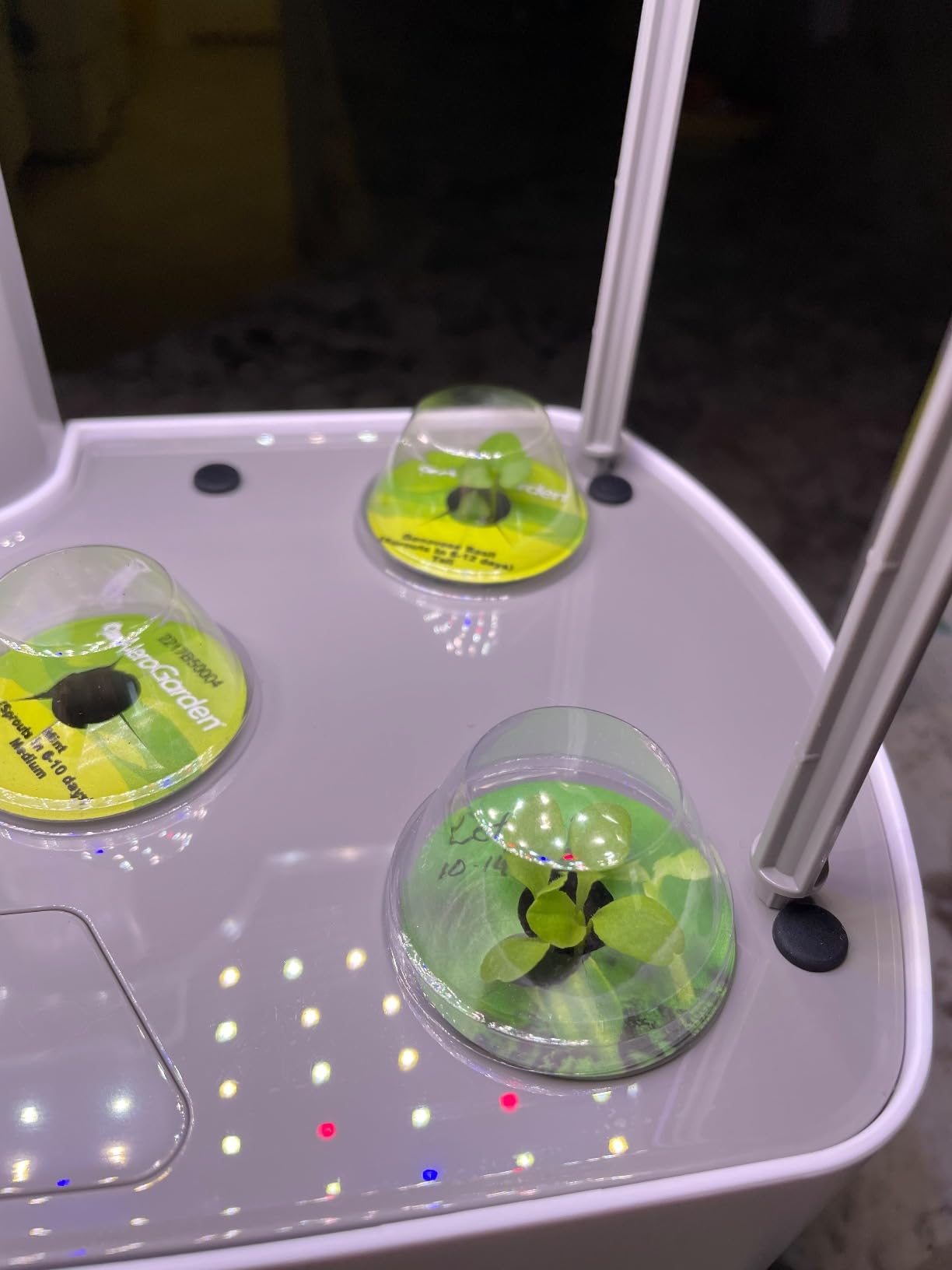 Harvest XL Indoor Garden Hydroponic System, White | Includes LED Grow Light with Seed Pod Kit, Holds up to 6 Pods customer photo 1
