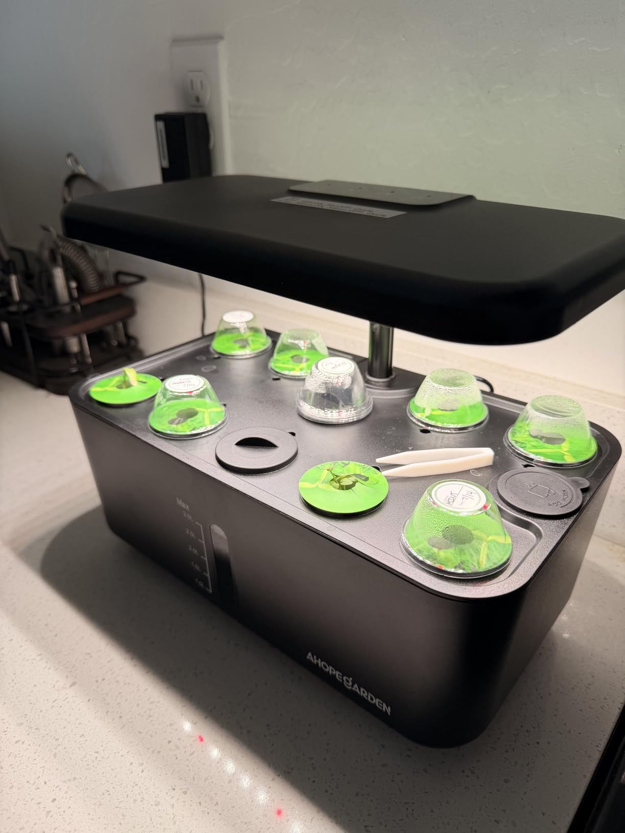 Ahopegarden Indoor Garden Hydroponics Growing System: 10 Pods Kit with LED | Plant Germination Kit Herb Vegetable Growth Lamp Countertop, Hydroponic Planter Grower Harvest Lettuce for Healthy Home Cooks customer photo 2