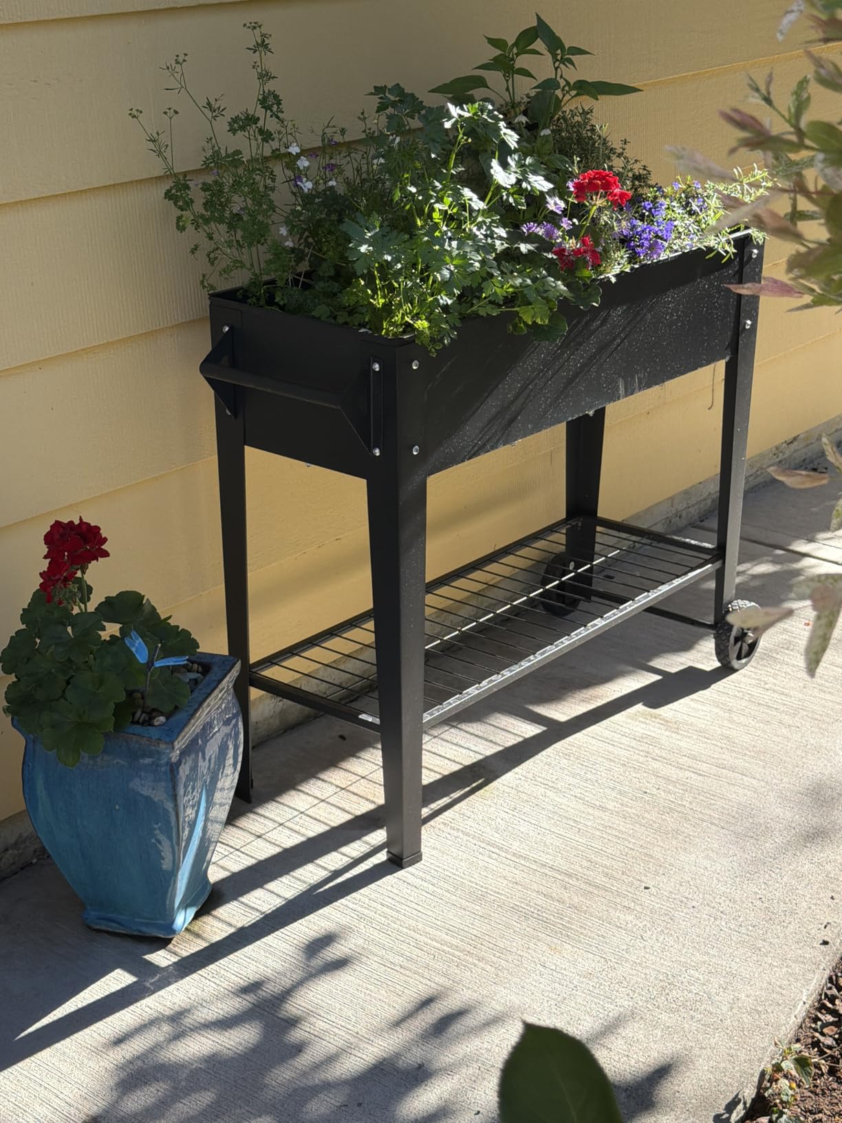 LEETOLLA Raised Garden Bed Outdoor Elevate Herb Garden Planter Box Outdoor Raised Planter Box with Legs On Wheels for Vegetables Flower Tomato Patio Backyard customer photo 2