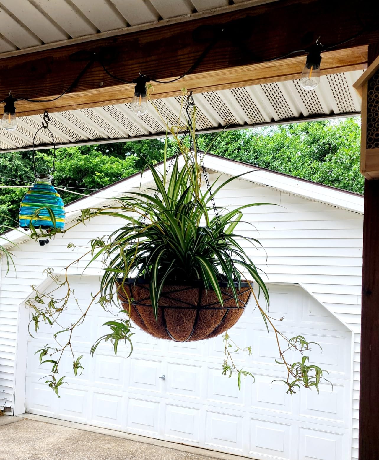 4 Pack 12 Inch Hanging Planters for Outdoor Plants Metal Watering Flower Baskets with Coco Liner for Outside Planting Plant Holder Pot for Home Garden Porch Balcony Railings Decor customer photo 1