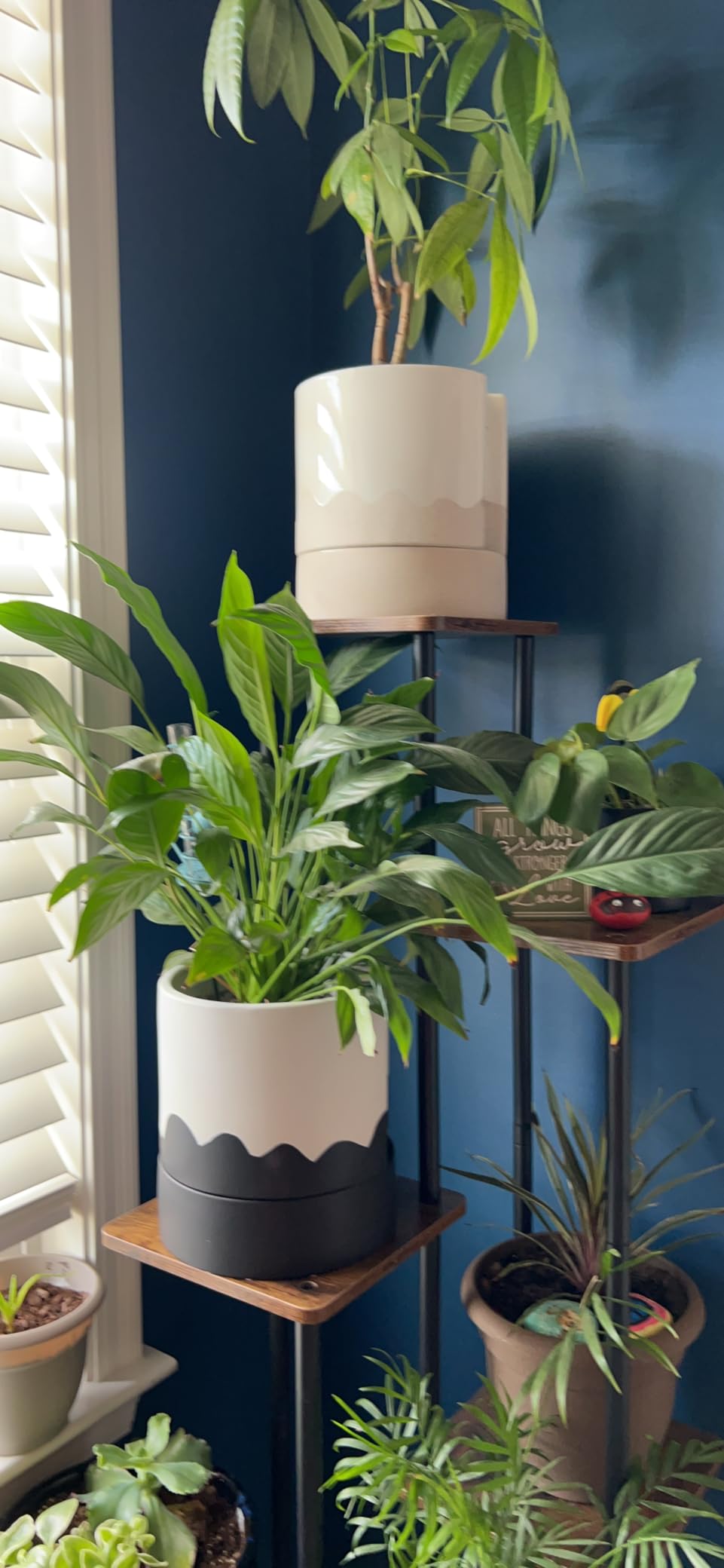 Nihow Ceramic Self Watering Plant Pot for Indoor Plants, 6 Inch, Cream White | Planter with Cotton Wick, Drainage Hole & Water Storage Plus, Cylinder Round Flower Pot, For Succulent/Herbs/Violets customer photo 2