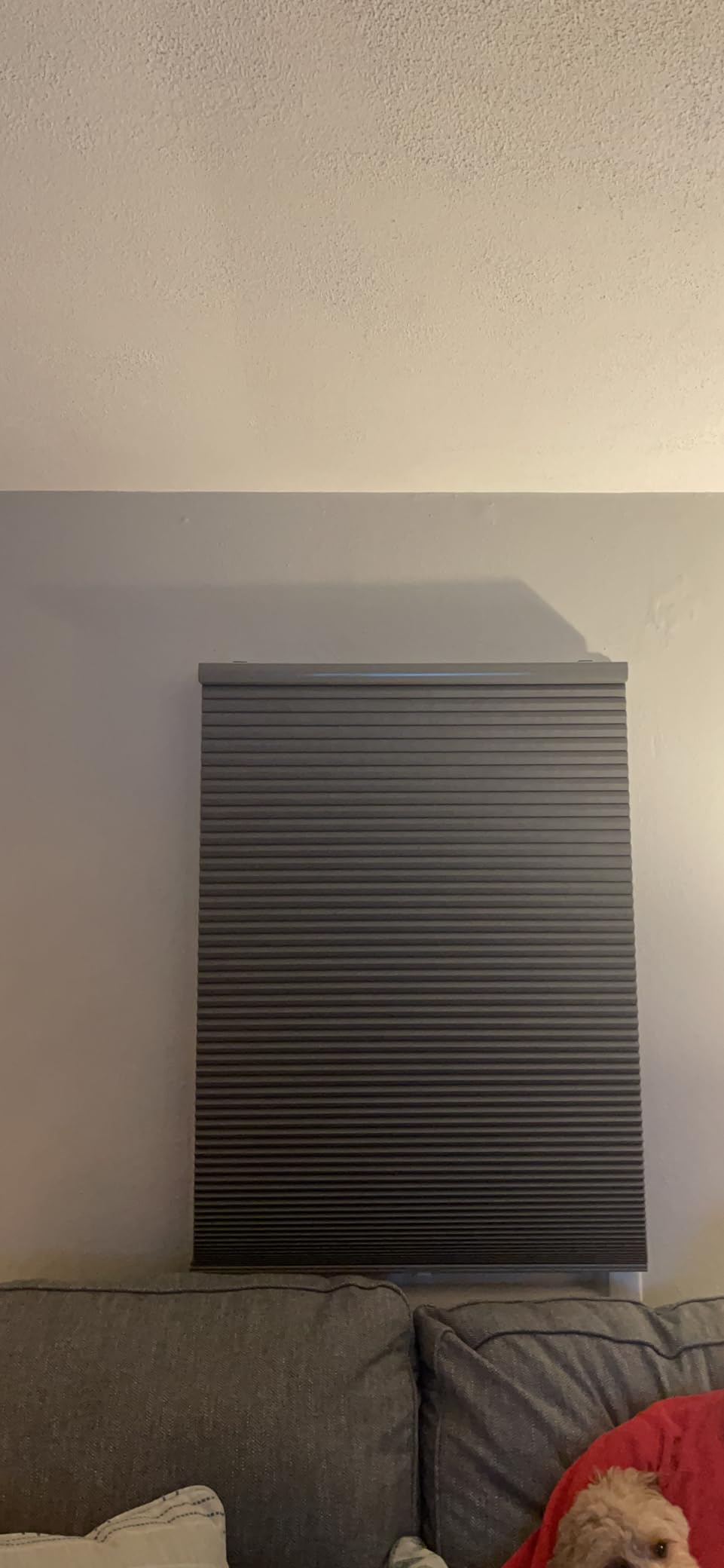 Persilux Custom Blackout Cellular Shades Cordless Blinds for Windows, Thermal Insulated, Noise Reduction, Room Darkening Honeycomb Blinds for Home, Night Grey customer photo 2