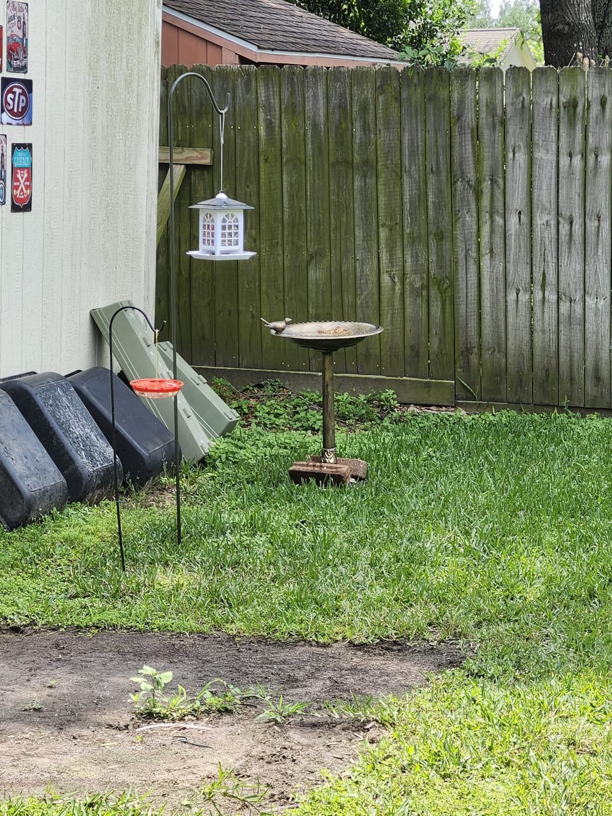 BACKYARD EXPRESSIONS PATIO HOME GARDEN 912449-WB Outdoor Garden Bird Bath- Bronze- Weather Resistant Polyresin-30 Inch-Backyard Expressions customer photo 1