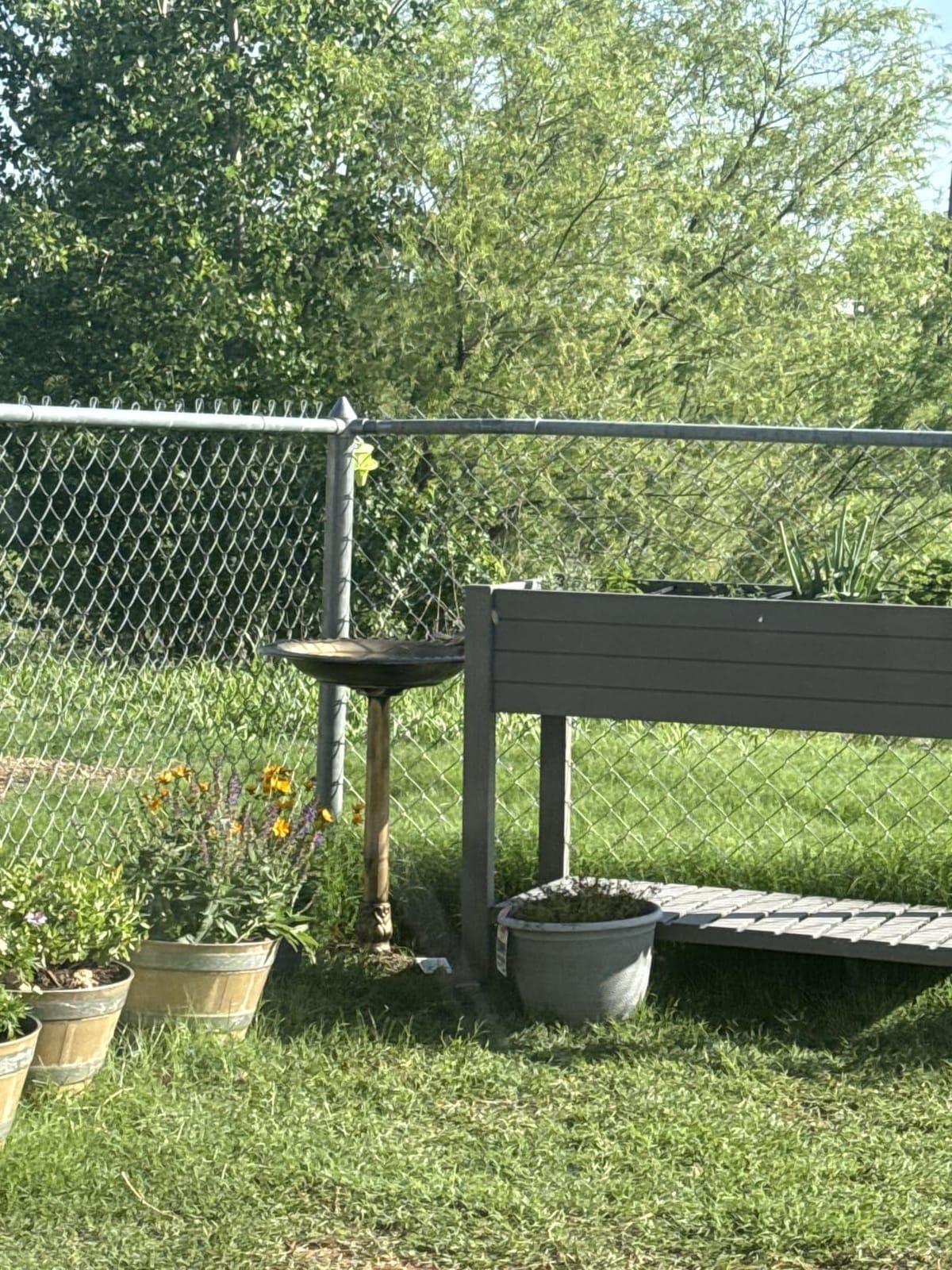 BACKYARD EXPRESSIONS PATIO HOME GARDEN 912449-WB Outdoor Garden Bird Bath- Bronze- Weather Resistant Polyresin-30 Inch-Backyard Expressions customer photo 2