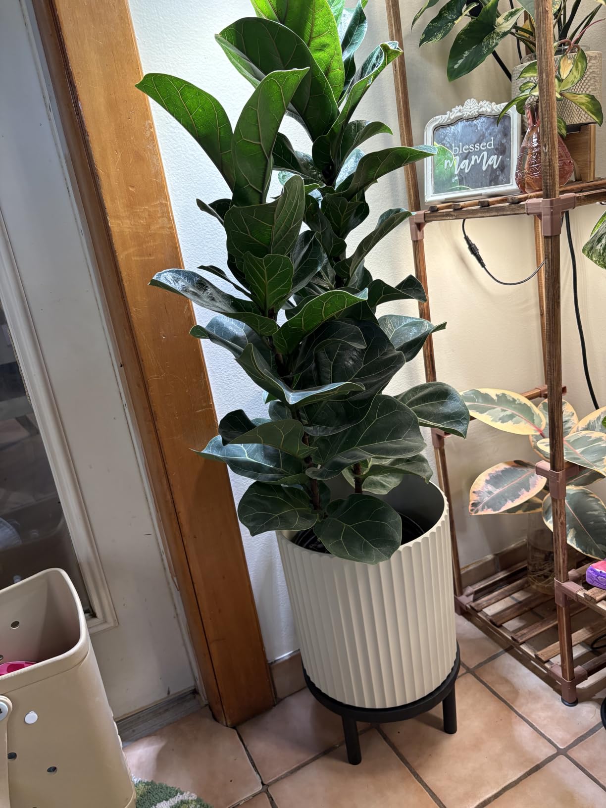 Veradek Demi Series Round Planter w/ Stand for Porch/Patio | Durable Plastic-Concrete & Wooden Stand | Modern Decor for Tall Plants, Flowers customer photo 1