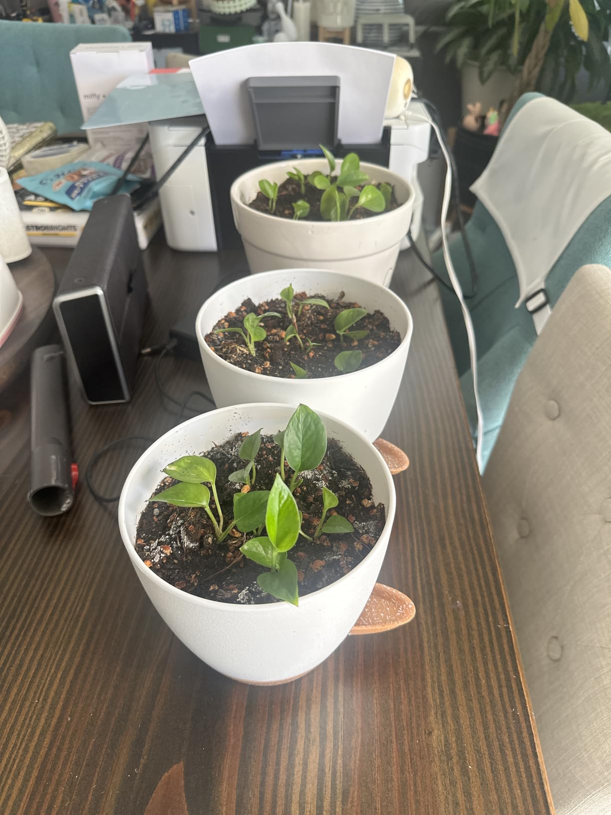 QRRICA Plant Pots 10/9/8/7.5/7 Inch Self Watering Pots, Set of 5 Plastic Planters with Drainage Holes and Saucers,Plastic Flower Pots,Nursery Planting Pot for Indoor Out Door Plants (Green) customer photo 1
