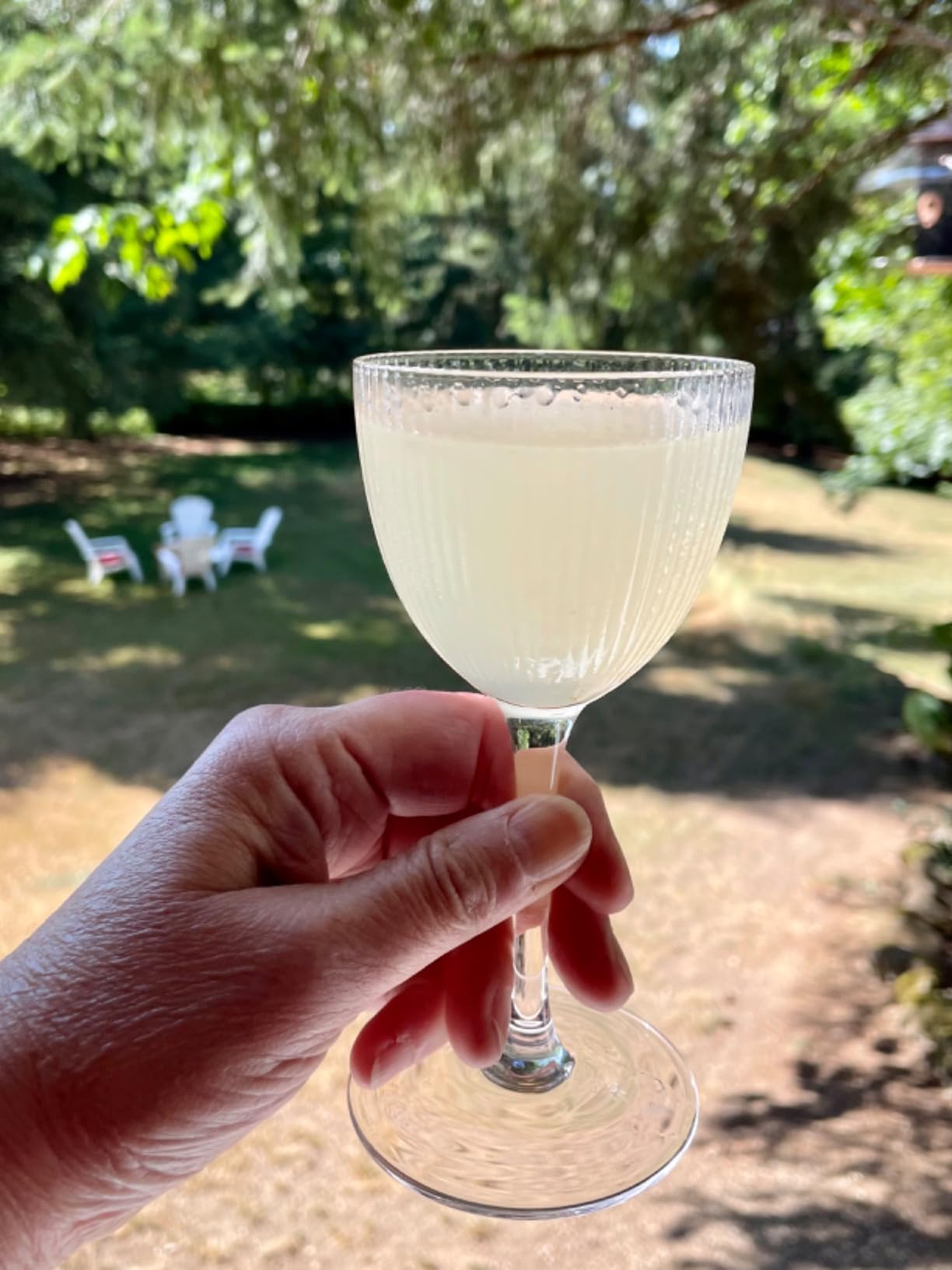 Vintage Art Deco Nick and Nora Coupe Glasses | Set of 4 | 5 oz Crystal Ribbed Cocktail Glassware for Drinking Classic Gin, Whiskey, Vodka Bar Drinks | Retro Long Stemmed Barware Goblets customer photo 1