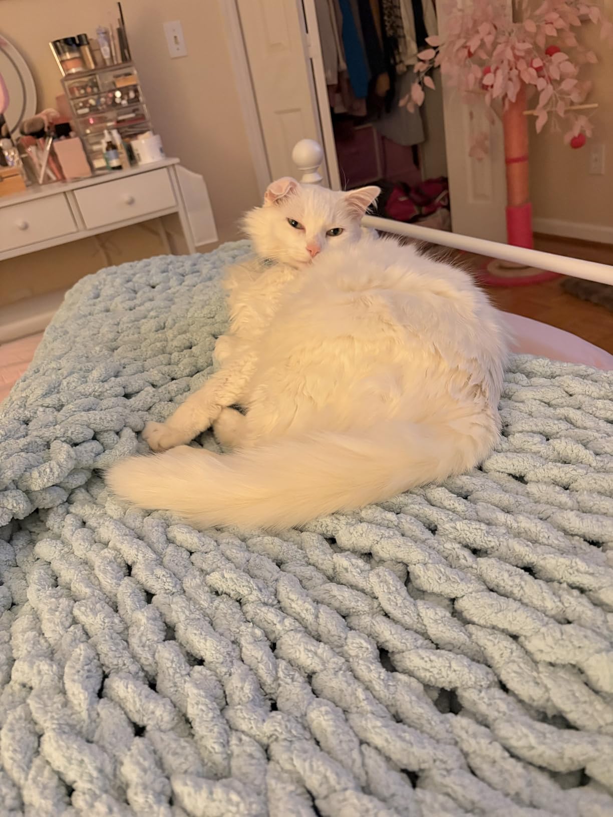 Bigacogo Chunky Knit Throw Blanket for Couch, 40x60 inches, Beige | Hand Knit with Jumbo Chenille, Soft Breathable Cable Knit for Sofa Bed Living Room, Machine Washable, Gift for Mom Friend customer photo 2