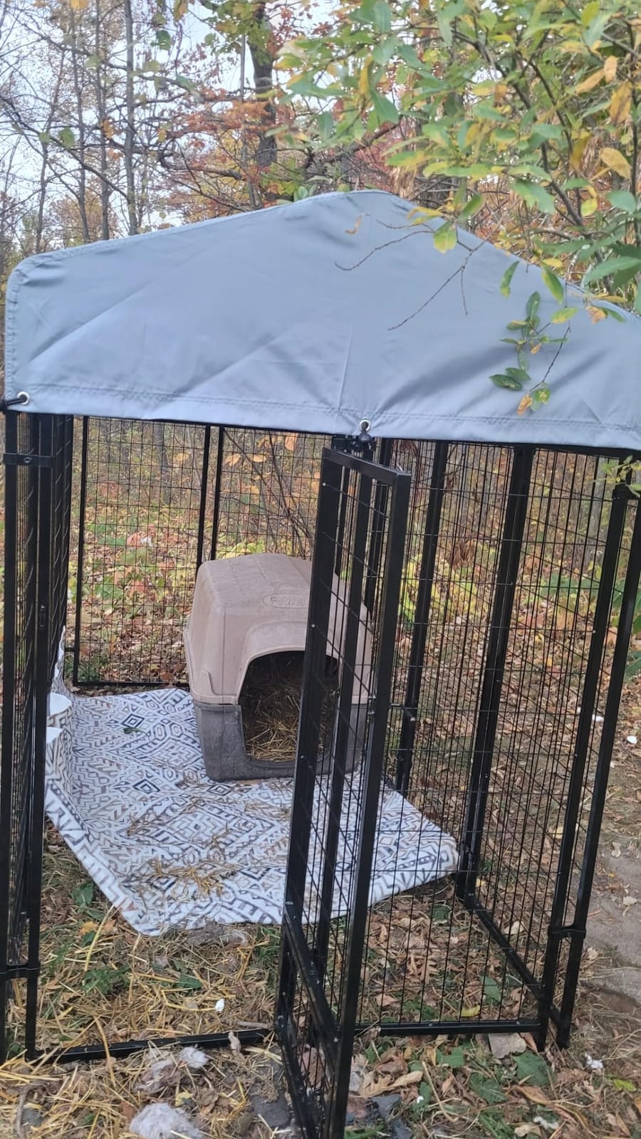 LEMBERI 8x4x6FT Outdoor Dog Kennel for Large Dogs, Heavy Duty | Escape-proof galvanized steel dog run with double-latch gate, reflective silver waterproof roof, 2 stainless steel bowls customer photo 1