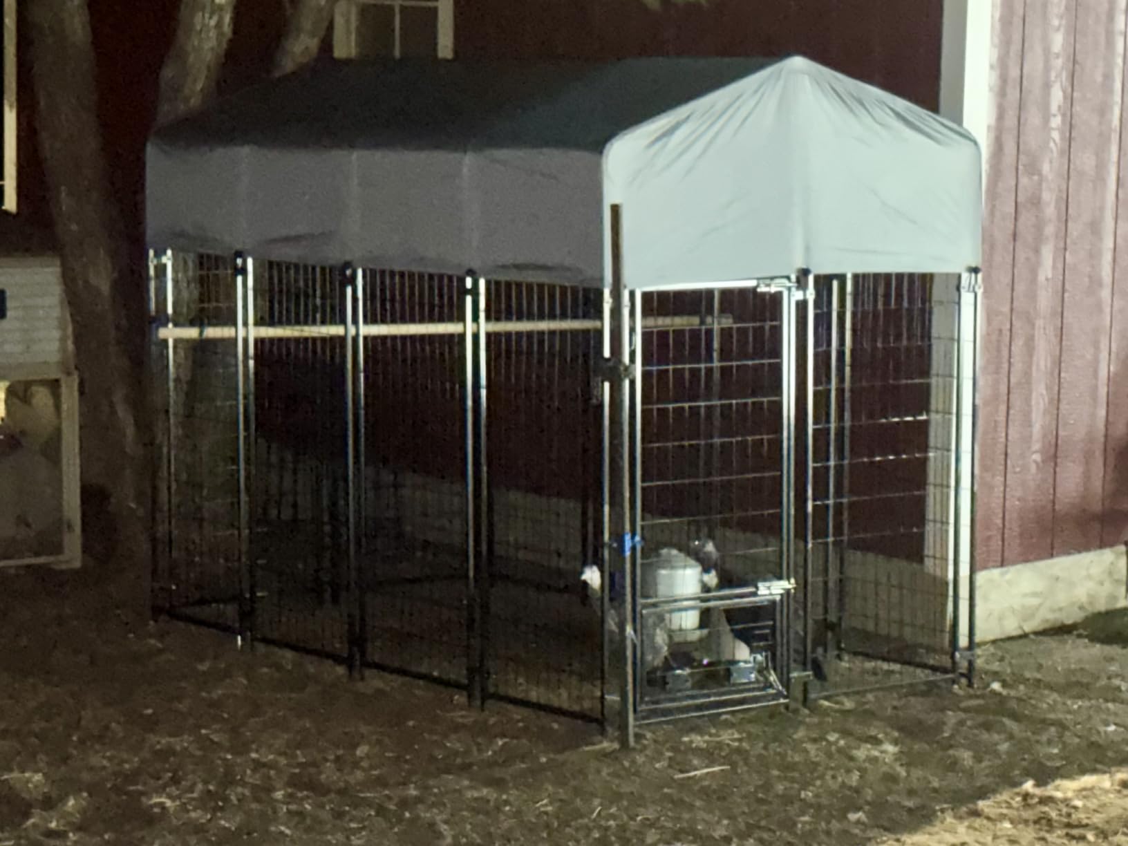 LEMBERI 8x4x6FT Outdoor Dog Kennel for Large Dogs, Heavy Duty | Escape-proof galvanized steel dog run with double-latch gate, reflective silver waterproof roof, 2 stainless steel bowls customer photo 2