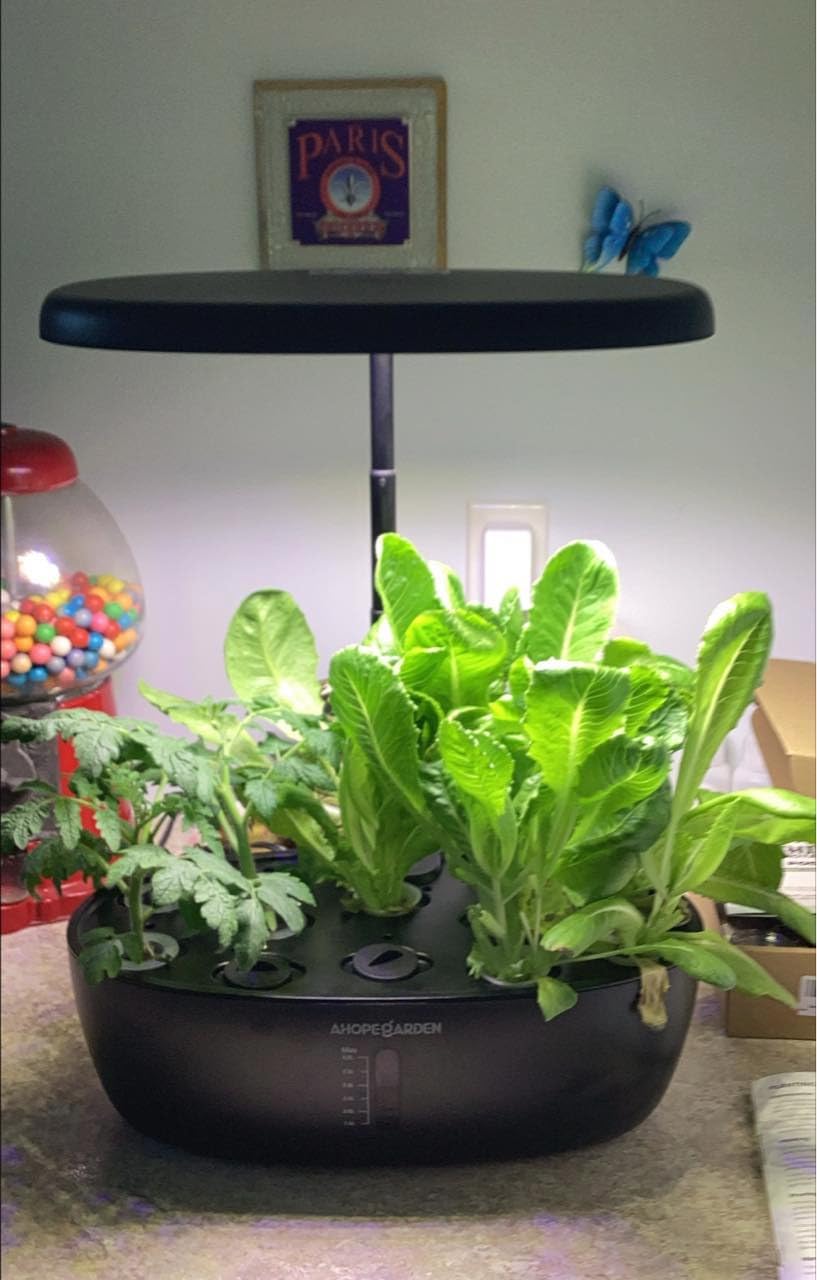 Ahopegarden Hydroponics Growing System: 12 Pods Indoor Herb Garden with LED customer photo 2