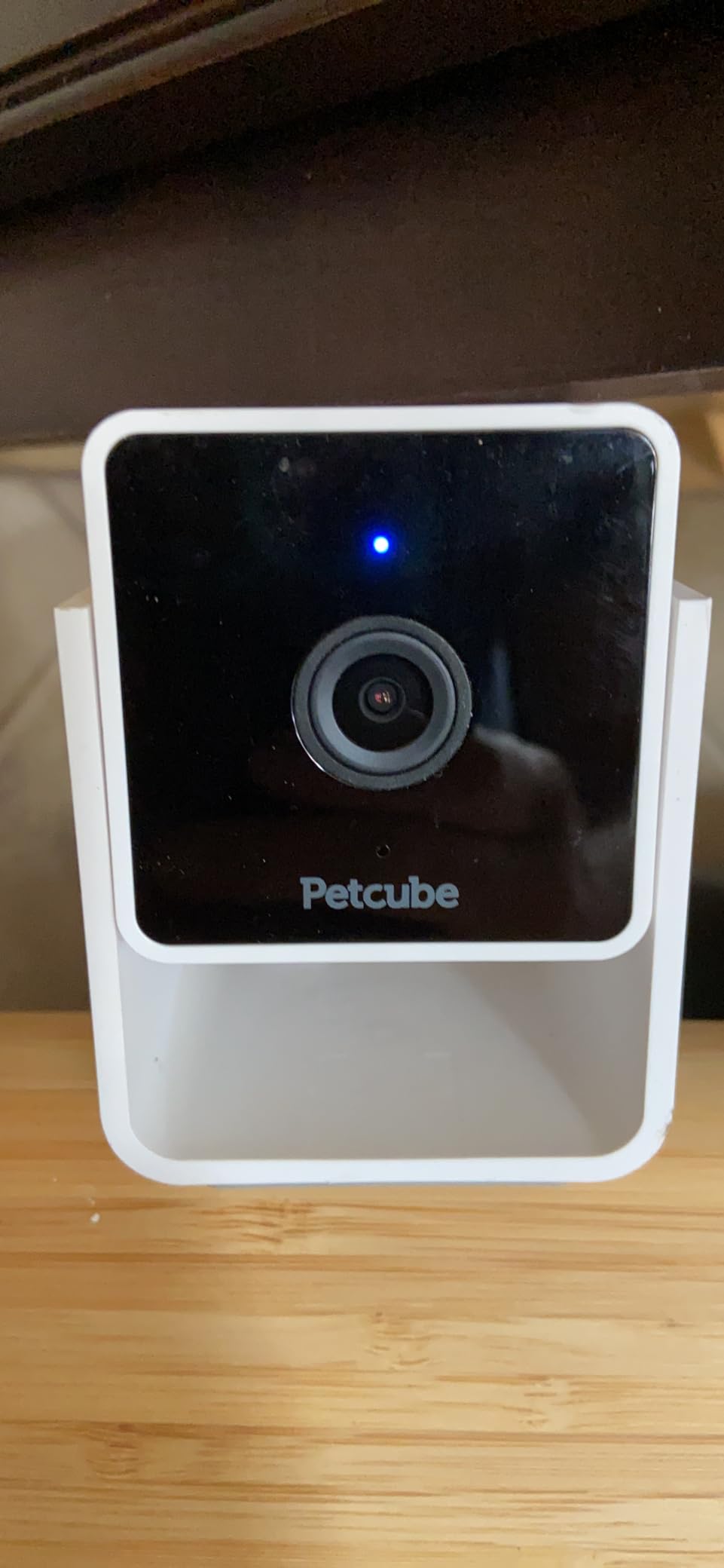 Petcube GPS Tracker for Dogs – Real-Time GPS Tracking & Escape Alerts customer photo 2