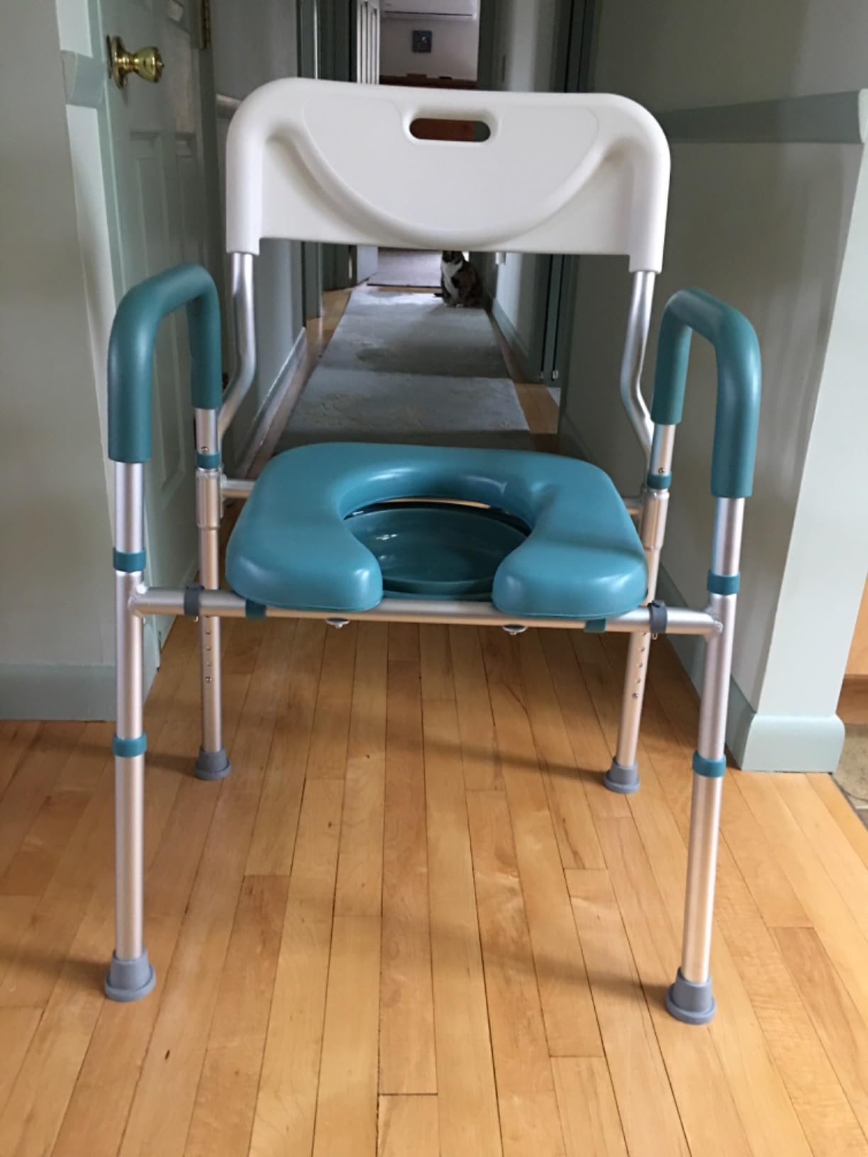 PELEGON Raised Toilet Seat with Handles (400lb) - Adjustable Height & Width Toilet Chair with Arms, Toilet Riser with Handles, Toilet Chair Over Toilet, Handicap Toilet Seat for Elderly (Teal) customer photo 2