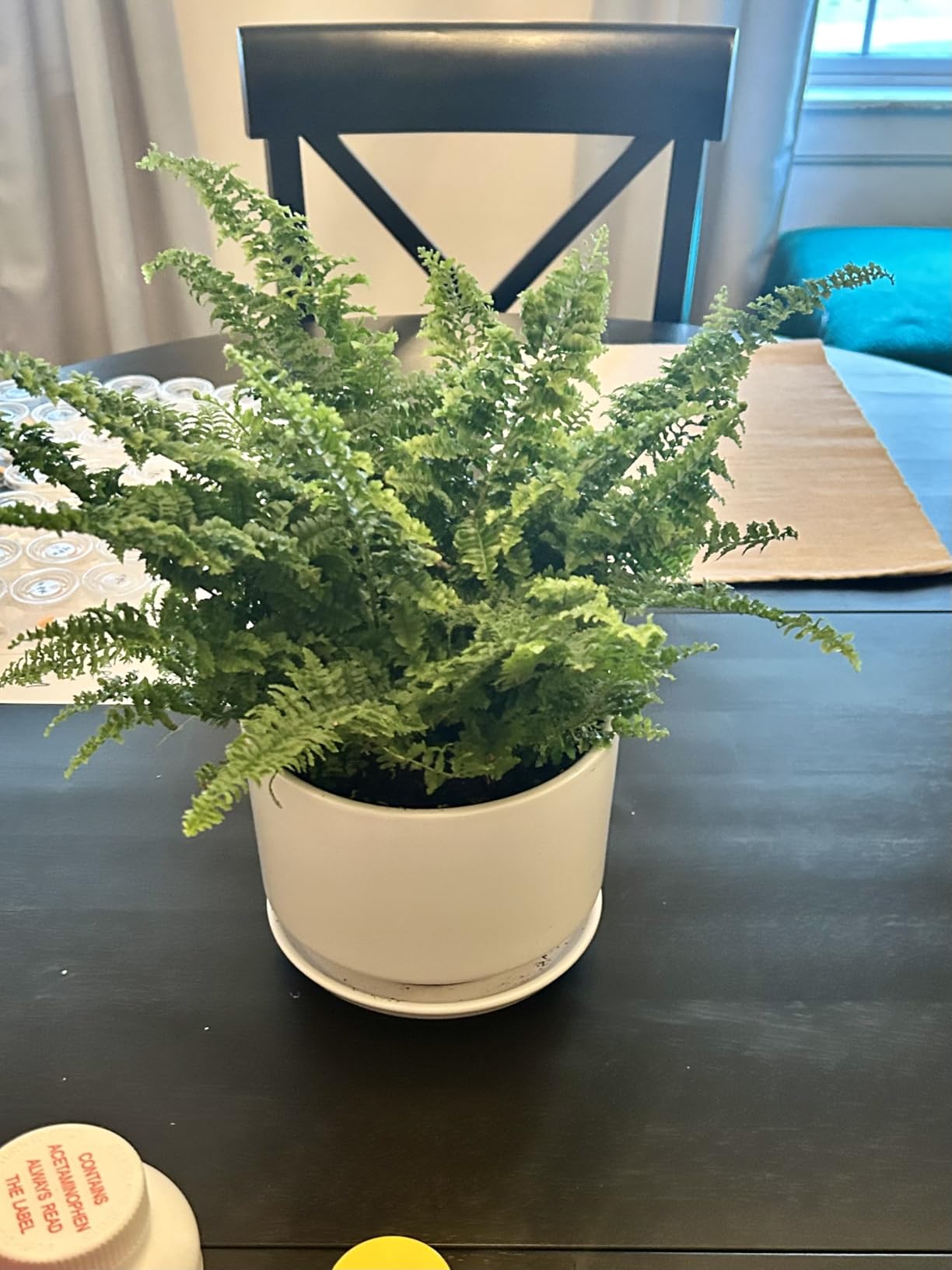 LE TAUCI 12 Inch Pots for Plants, Ceramic Planter with Saucer, White | Drainage Holes and Saucers, for Large Indoor Plants, Elegant and Durable, Perfect for Home & Office Decor customer photo 1