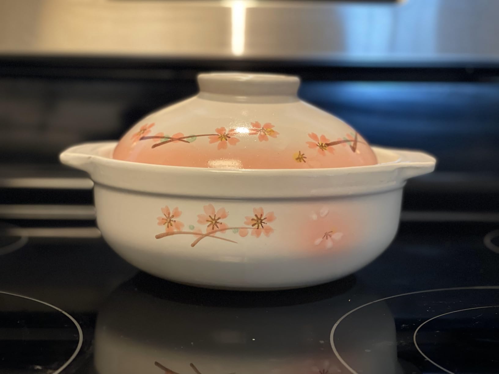Clay Pot for Cooking Japanese Donabe Hot Pot Casserole Korean Earthenware Pot with Lid, Serving 3-4 People, 9.25 inch customer photo 2