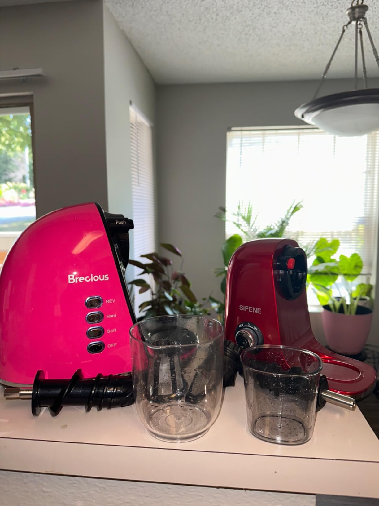 Slow Masticating Juicer,Brecious Cold Press Juicers with 2 Speed Modes & Quiet Motor,Juicers Machines Vegetable and Fruit with Reverse Function,Celery Juicer,BPA-Free,Easy to Clean (Silver) customer photo 2