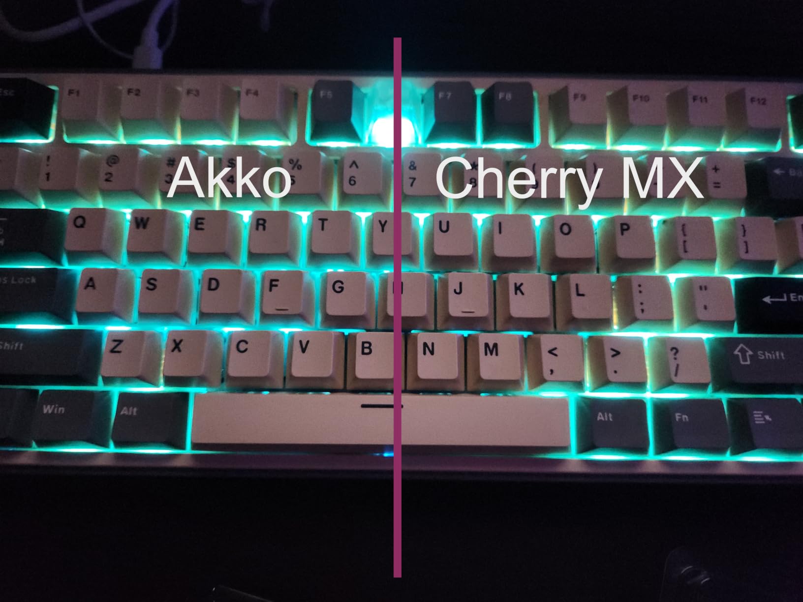 Akko V3 Penguin Tactile Silent Keyboard Switch for Mechanical Gaming Keyboard, 5-Pin 50gf Quiet Pre-Lubed Switches with Standard MX Structure (45pcs) customer photo 1