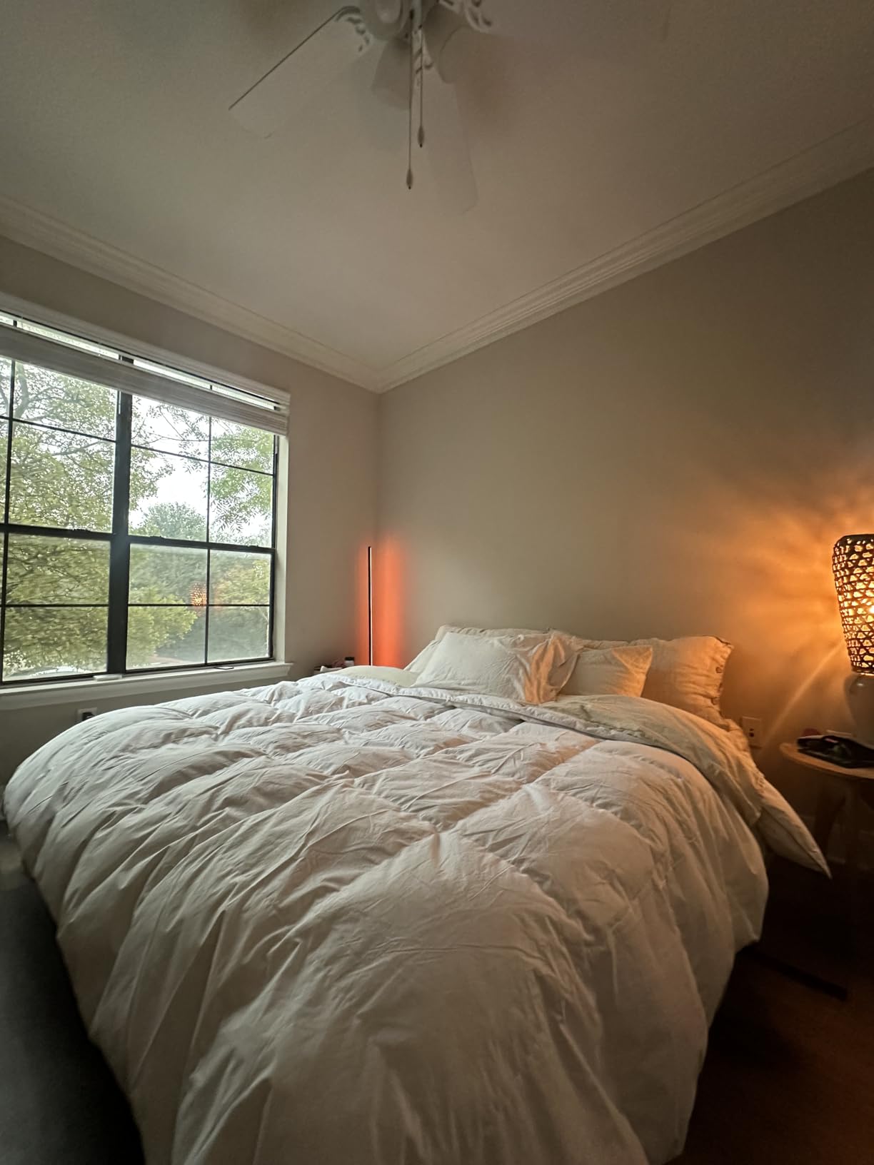 Royal Elite Luxurious Goose Feather Down Comforter Queen Size-Made in Canada White Goose Feather Down Duvet Insert-Luxury Hotel Comforter Oeko Tex Cotton Shell customer photo 2