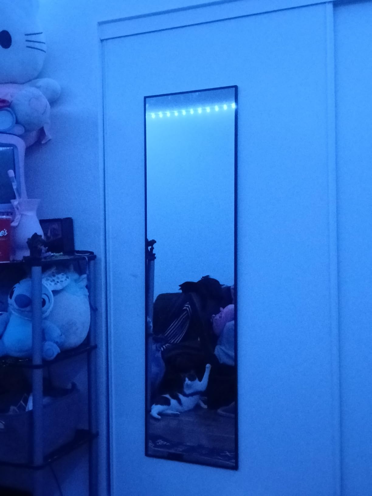 Delma Full Length Mirror with Stand, Black Floor Mirror customer photo 1