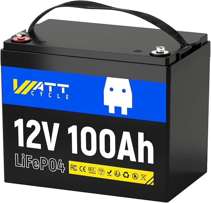 WattCycle 12V 100Ah Mini LiFePO4 Battery with Bluetooth 100A BMS Group 24 customer photo 2