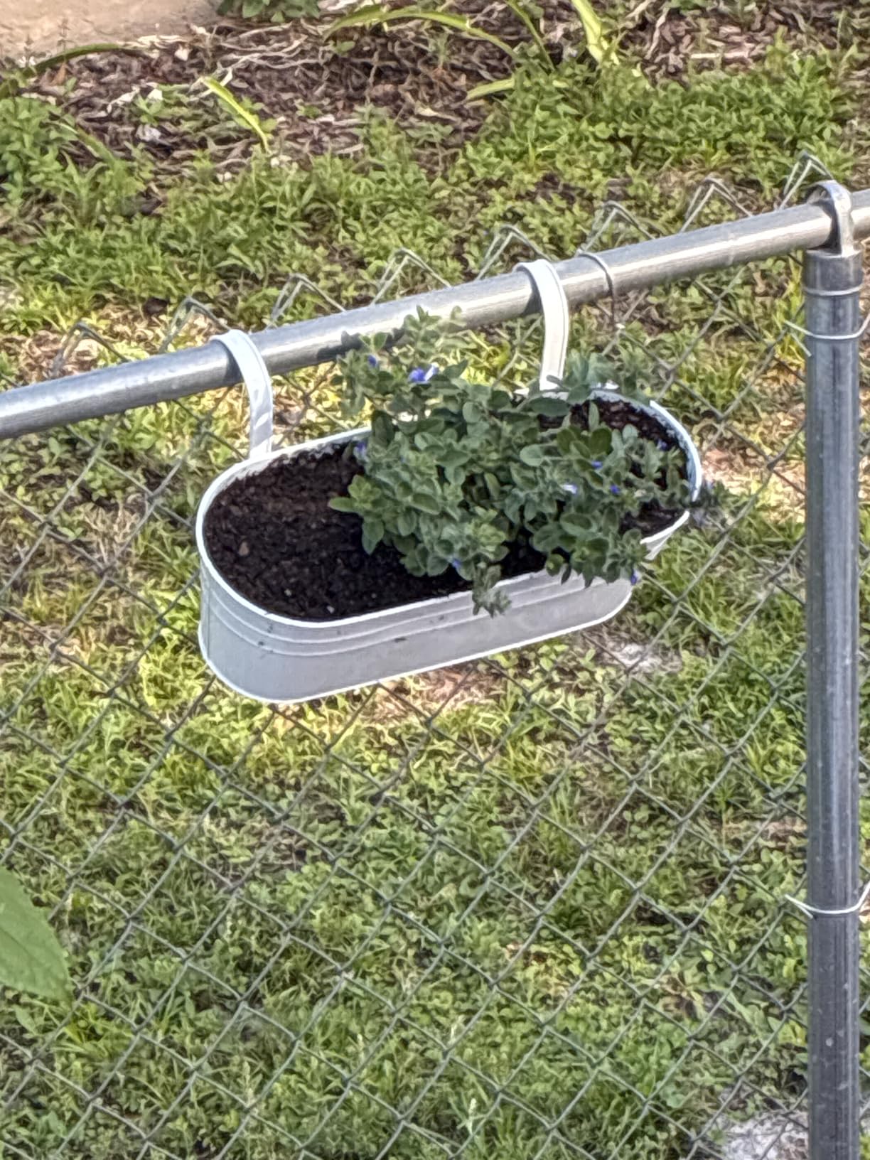 Dahey 15 Inches Railing Planter Box 3 Pcs Metal Hanging Flower Pots, Black customer photo 2