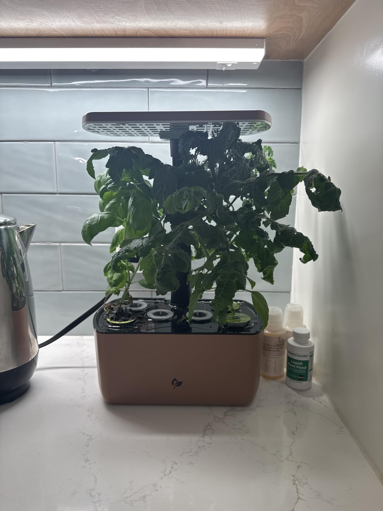 Harvest Lite, Black | Soil-free Indoor Hydroponic Garden with LED Grow Light for Year-Round Gardening of up to 6 Herbs and Vegetables customer photo 1