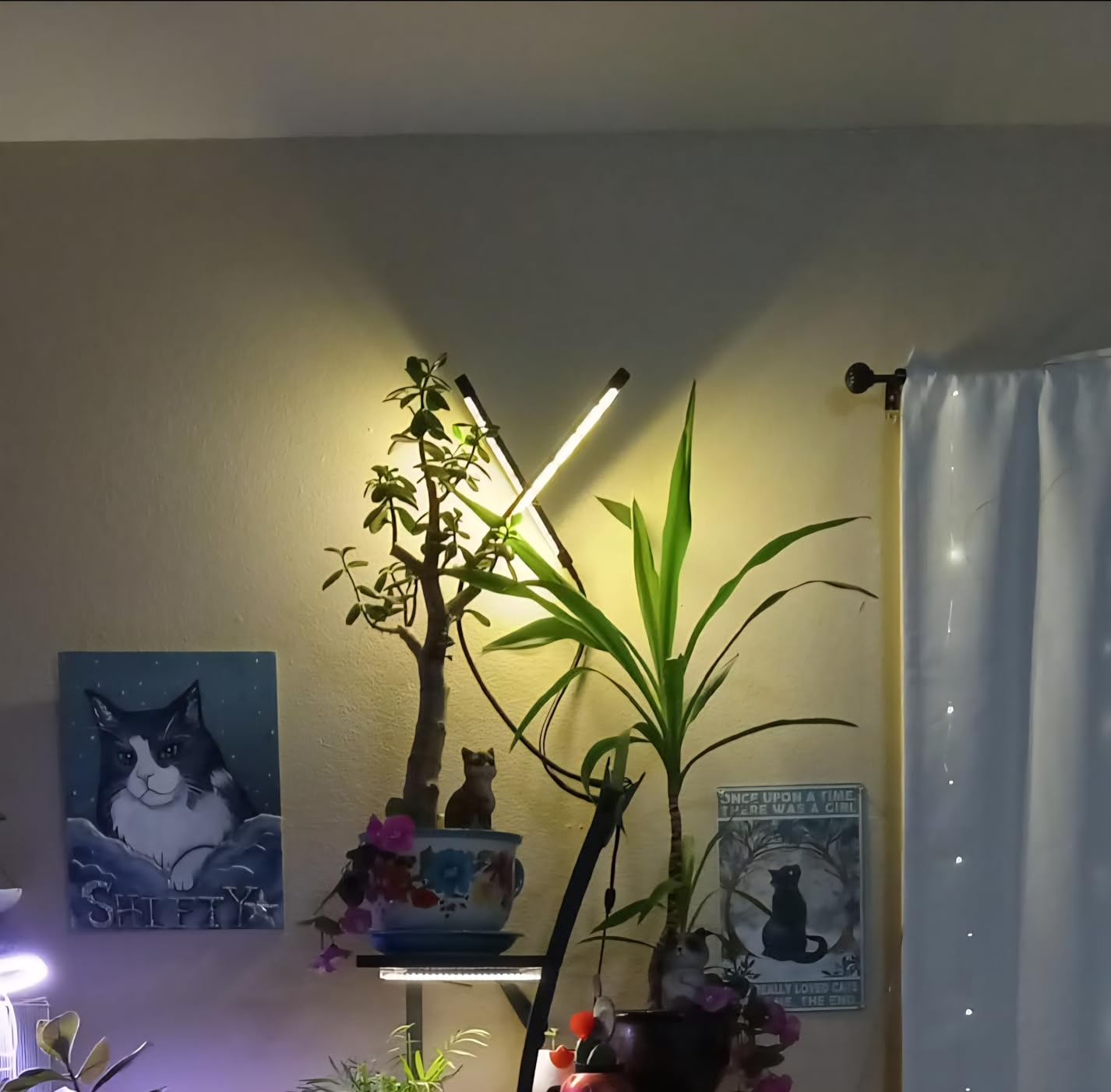 Bloom Lume LED Grow Lights for Indoor Plants Full Spectrum 6000K - Plant Grow Lights Indoor, Multi Mode Color Spectrums (Red, White & Blue), Dimmable, Auto Timer, Clip on Gooseneck Plant Lamp customer photo 1
