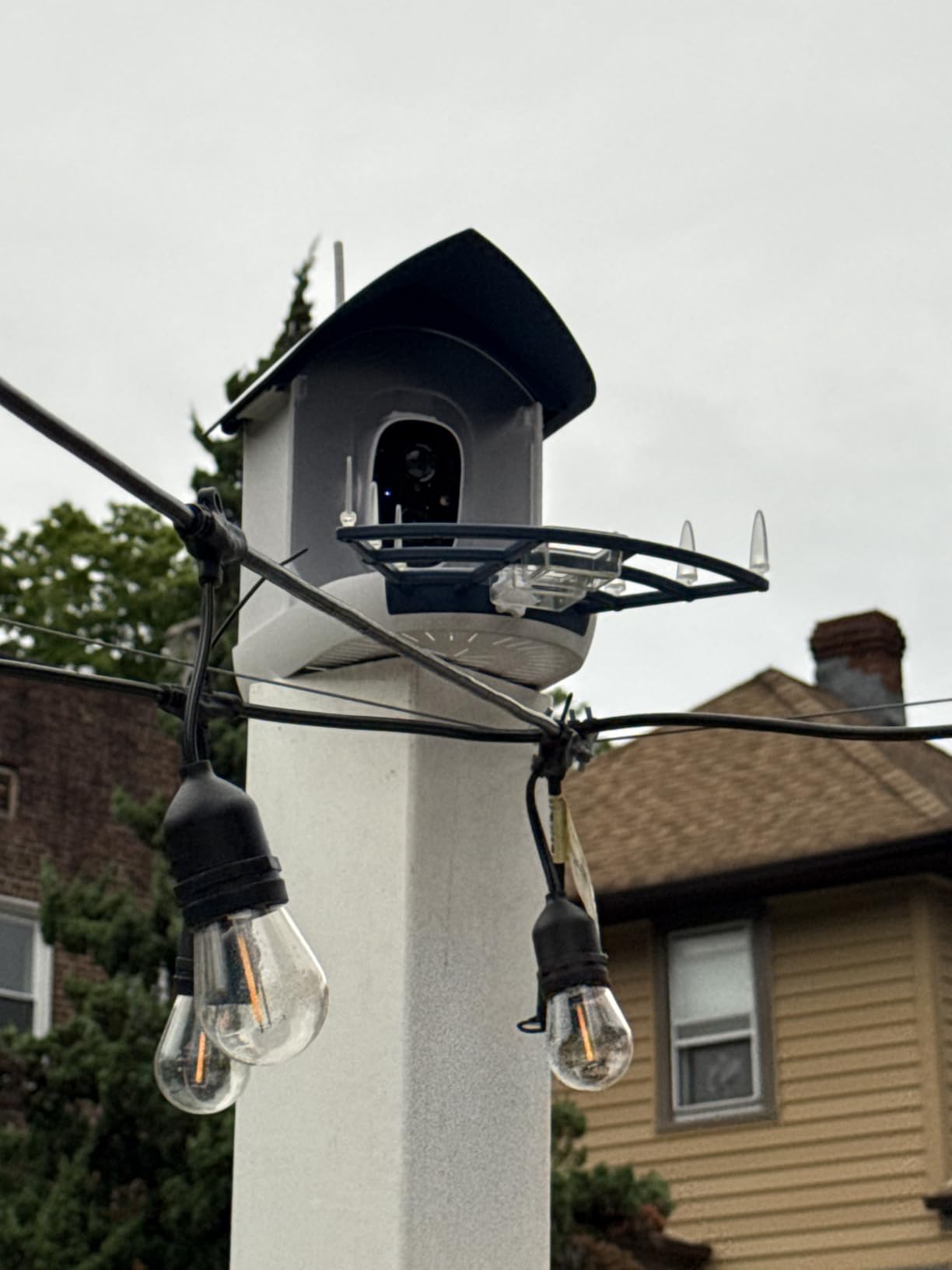Bird Feeder with Camera,Birds House Camera,Solar Powered,AI Bird ID | Auto records FHD videos of birds in your backyard,Instant Notifications, Ideal gift for family and bird lovers,Navy Blue customer photo 2