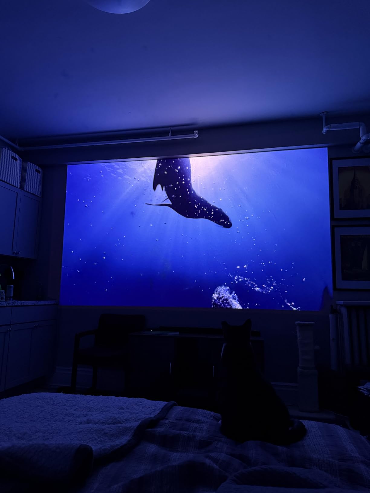 JMGO N1S Ultra 4K Triple Laser Projector , 2800 ISO Lumens, Google TV customer photo 1