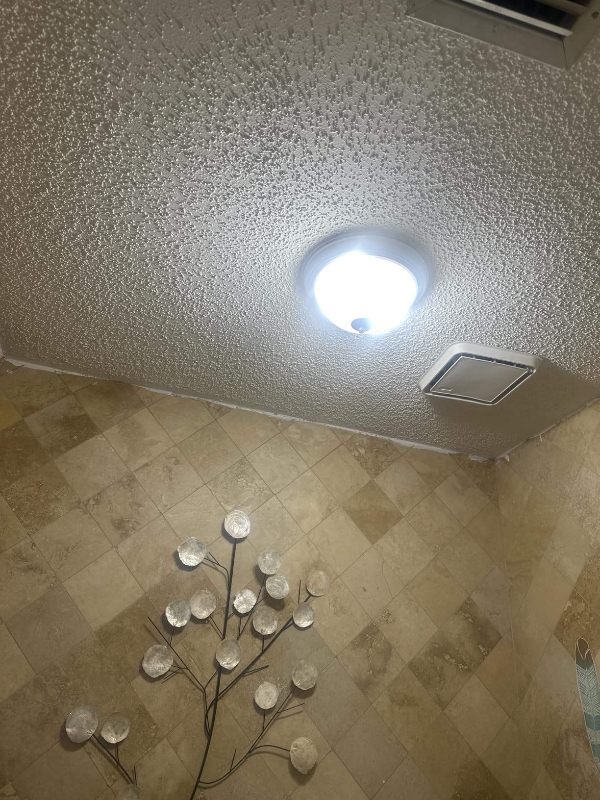 Designers Fountain Flush Mount Ceiling Light, 11 Inch Frosted Glass Lighting Fixture for Kitchen, Bedroom, Bathroom, and Hallway, LED Bulbs Not Included, Brushed Nickel customer photo 2