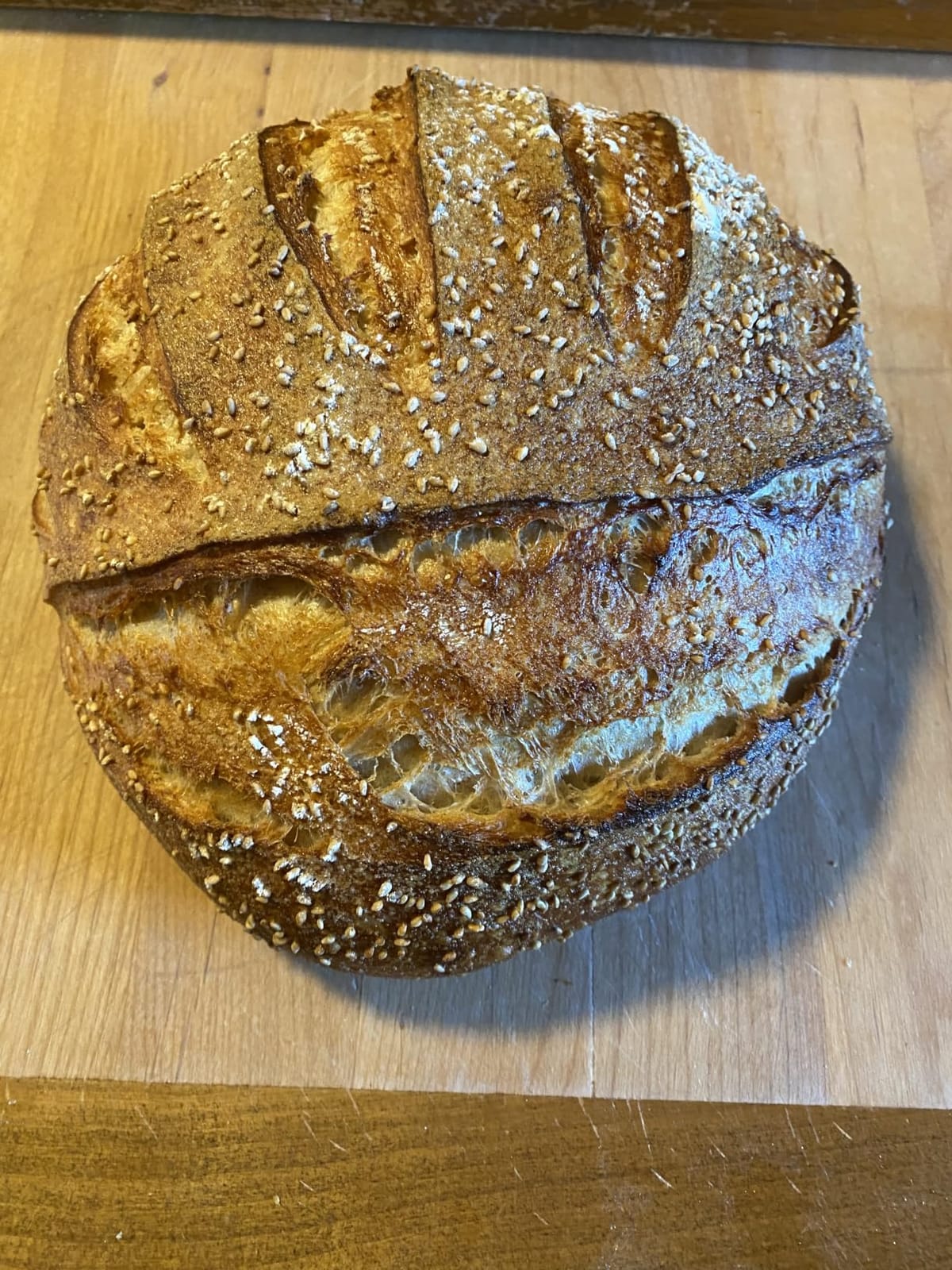 Brod & Taylor Ultralight Baking Shell for Sourdough Bread (Boule) - No Preheating Needed for Crispy Crust and Even Baking customer photo 1