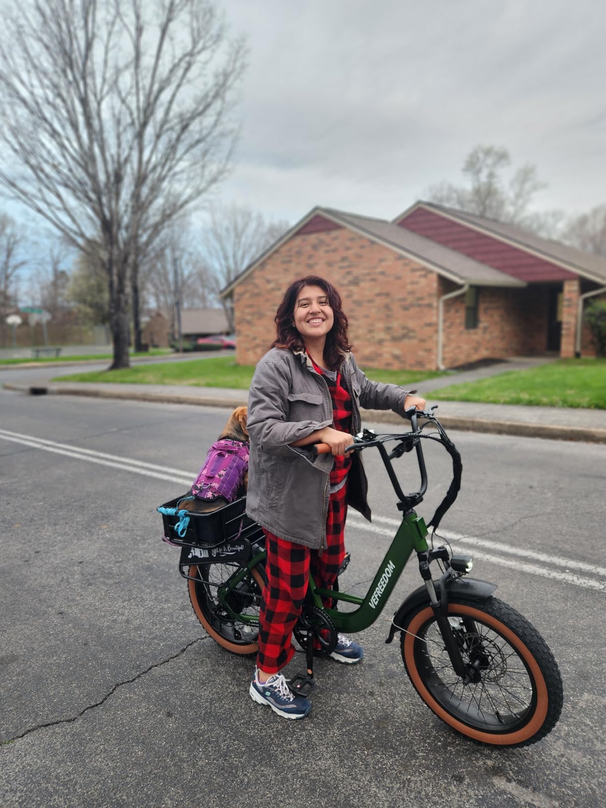 Electric Bike for Adults with Peak 1500W Motor, 48V 20Ah Removable Battery Fast Ebike, Max 70Miles, 20