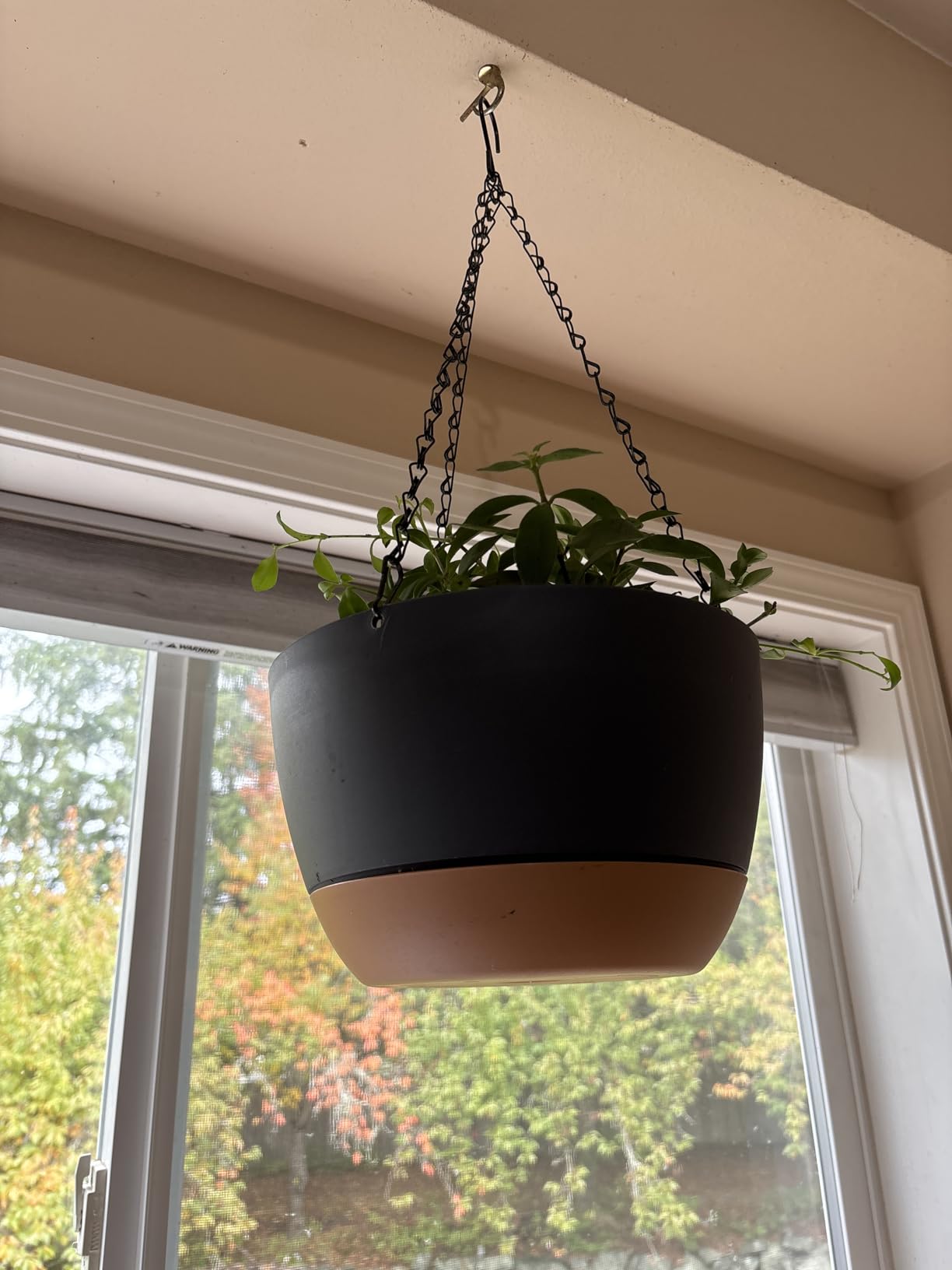 Set of 2-10 Inch Hanging Planters for Indoor Plants with Self-Watering Includes Hanging Pots for Plants, Outdoor Hanging Plant Pot with Drainage, and 2 Types of Hanging Baskets Hangers (White, 10inch) customer photo 1