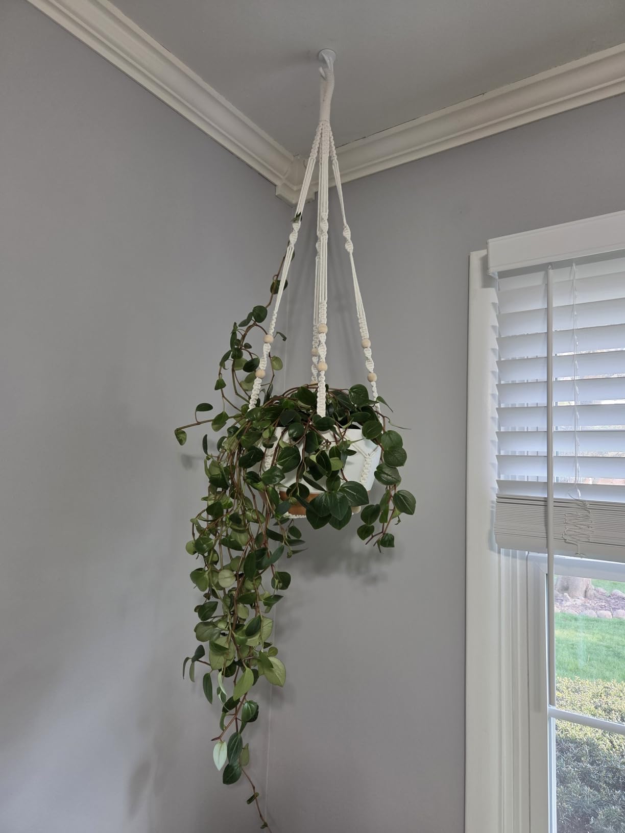 Set of 2-10 Inch Hanging Planters for Indoor Plants with Self-Watering Includes Hanging Pots for Plants, Outdoor Hanging Plant Pot with Drainage, and 2 Types of Hanging Baskets Hangers (White, 10inch) customer photo 2