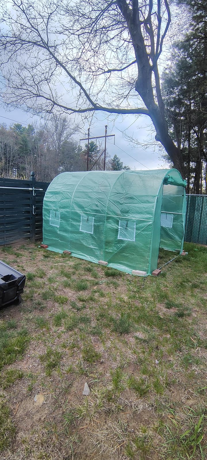VEVOR Walk-in Tunnel Greenhouse, 9.6x6.4x6.2 ft Hoop House, Galvanized Steel Frame, Green PE Cover, Roll-up Zipper Door and 6 Windows customer photo 1