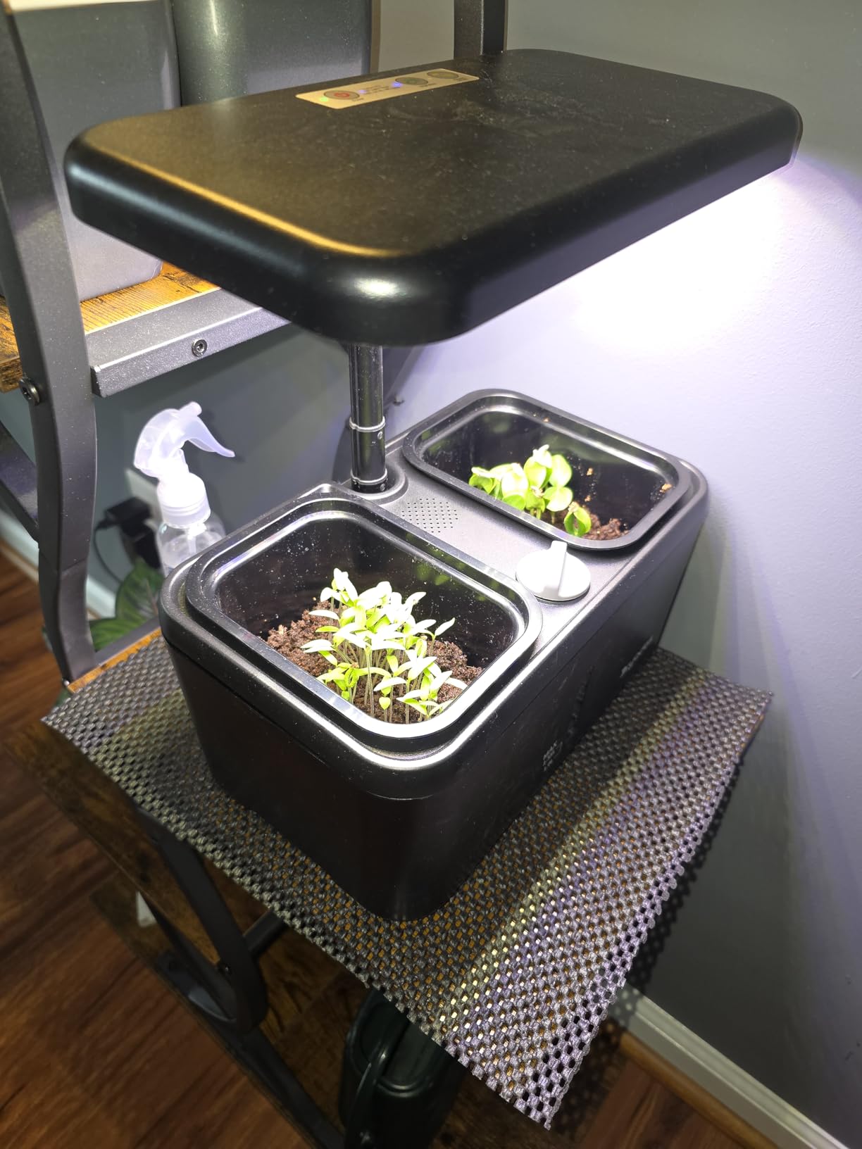 Indoor Garden Planter Growing Systems Soil plant pot indoor Small Smart Soil Gardening System with 17 Watts LED Grow Light Auto Timer Self-Watering Planter Pot Gifts for Mom Women (No Seeds&Soil) customer photo 2