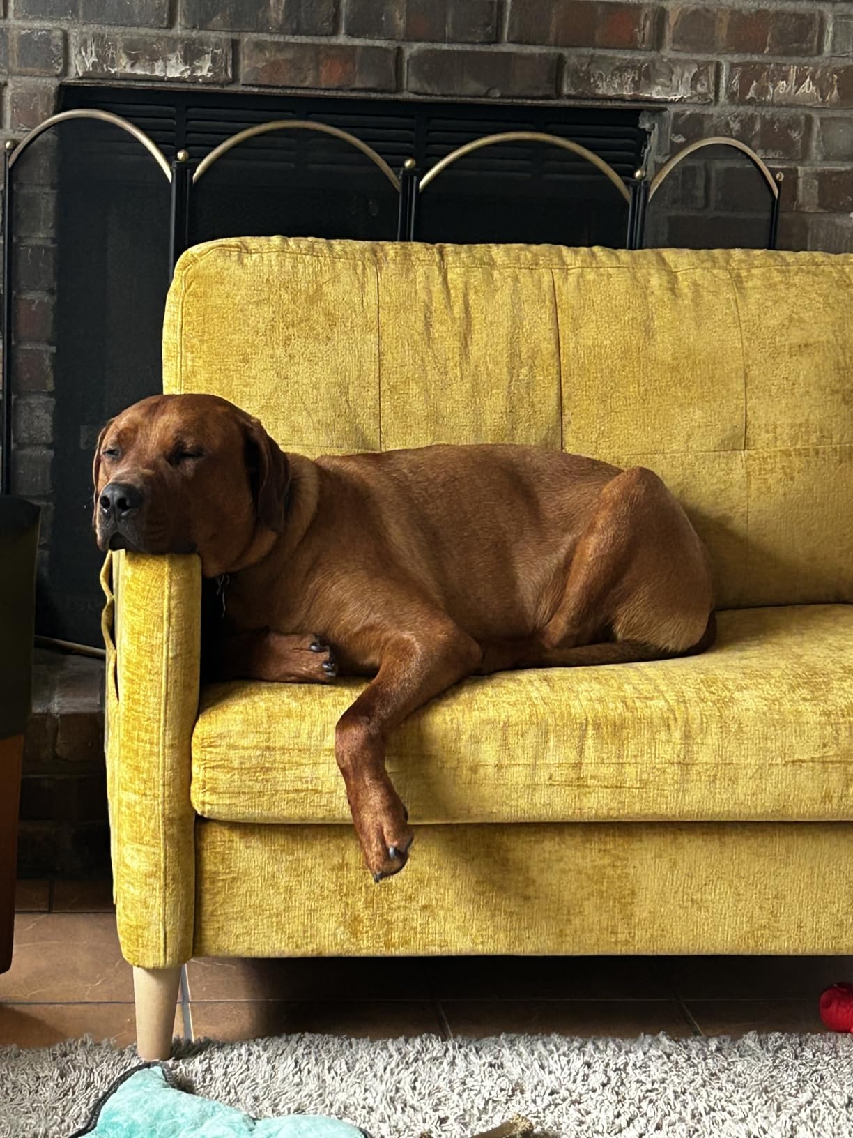 Hanherry Loveseat Sofa, 47