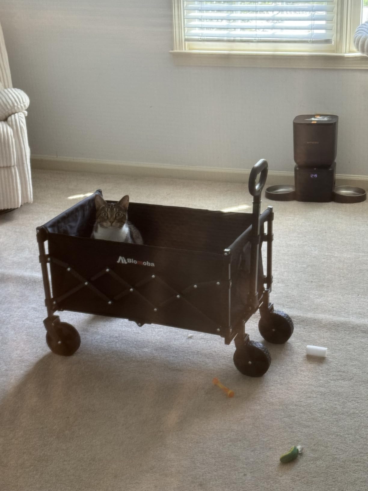 Blomoba Folding Wagon Cart with Wheels, 220lbs Utility Wagon Cart, Black customer photo 1
