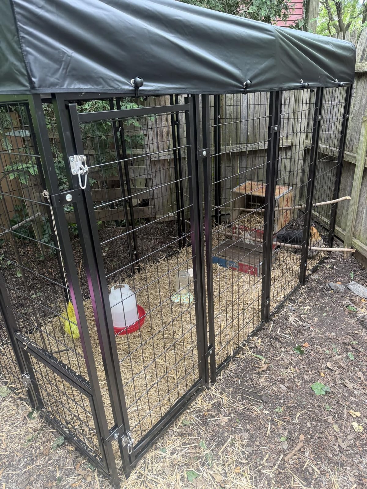 Dog Kennel Outdoor, Large Outside Dog Kennel with Roof & Swivel Feeders/Removable Doggy Door Allow Connecting Your Dog House, Heavy Duty Dog Run Pen for Medium/Large Dogs (8'L x 4'W x 6'H) customer photo 2