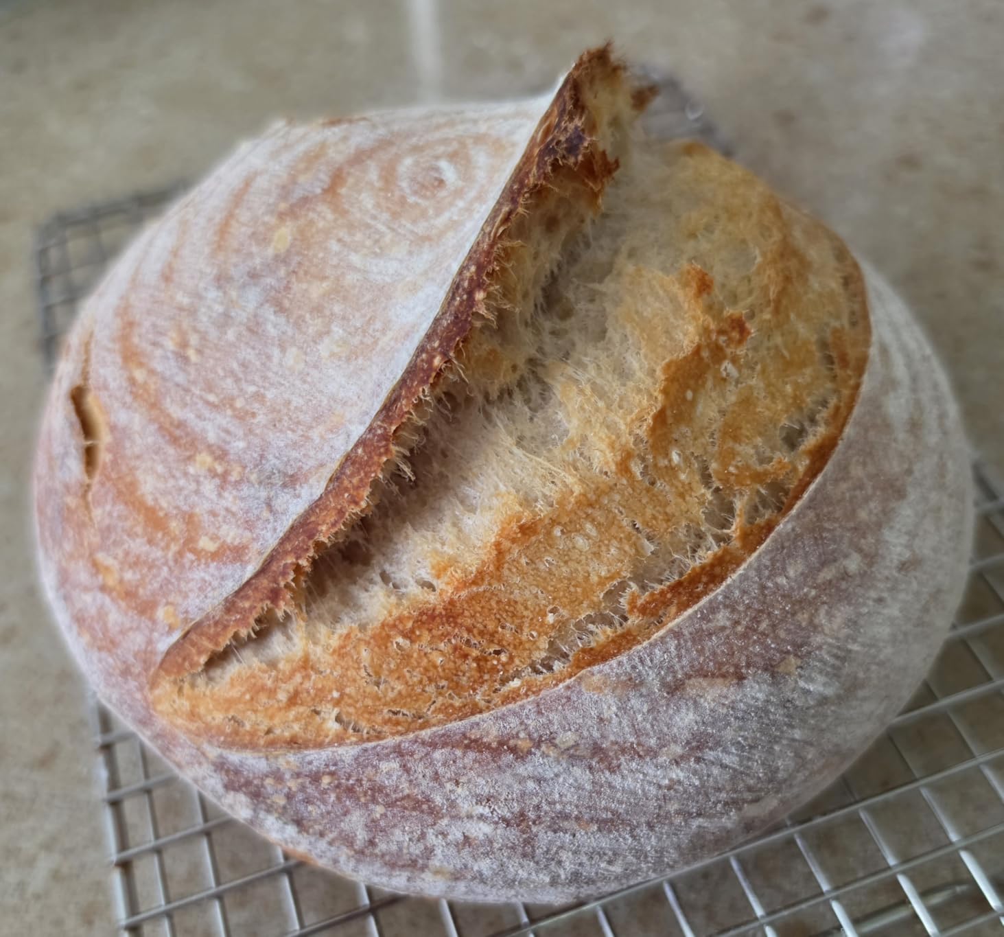 Stainless Steel Bread Lame, Sourdough Scoring Tool, 10 Blades customer photo 1