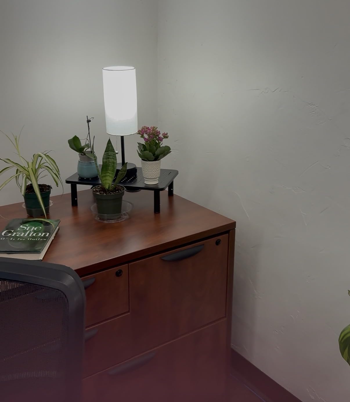 Bedside Table Lamp for Bedroom, Small Lamps for Night Stands with Pull Chain | 3-Color Bedroom Table Lamps Desk Reading Light AC Outlet customer photo 1