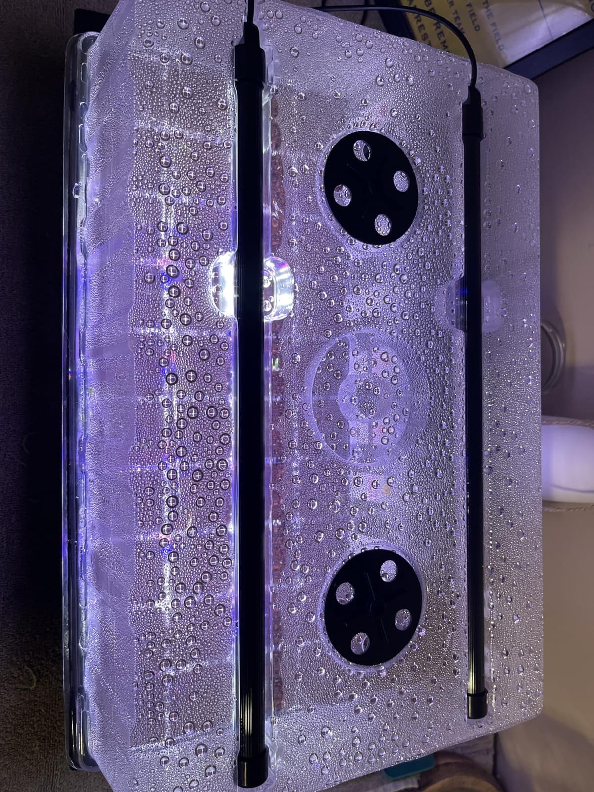 Patigrow 120-Cell Self-Watering Seed Starter Tray with Grow Light, Seed Starter Kit with 4.07” Humidity Dome, Indoor Seedling Starter Tray, Seed Starting Trays for Plant Germination, Seeds Growing customer photo 1