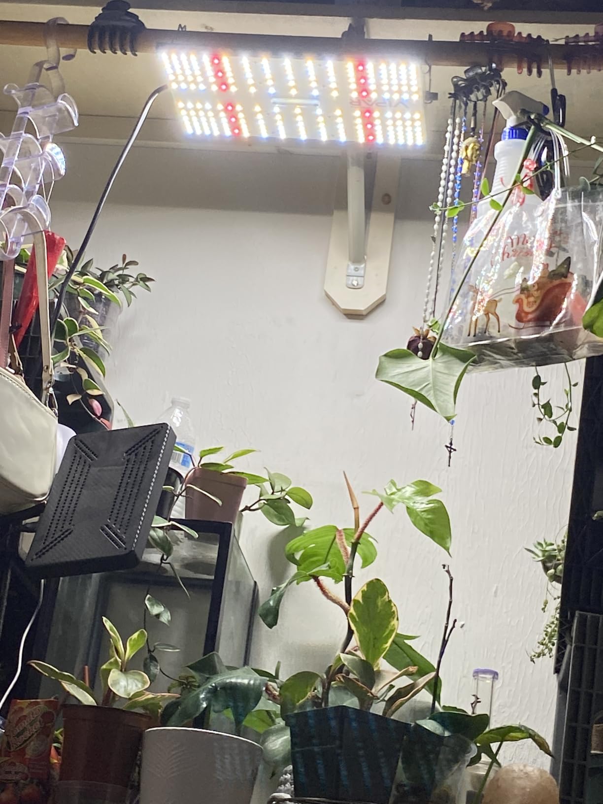 70 Watt Grow Light, Dimmable Plant Light, LED Grow Lights for Indoor Plants | VIPARSPECTRA P700 Full Spectrum Growing Lamp Seed Starting Seedlings Vegetable, 11000 Lumens Small Hanging for 2x2 Grow Tent customer photo 2