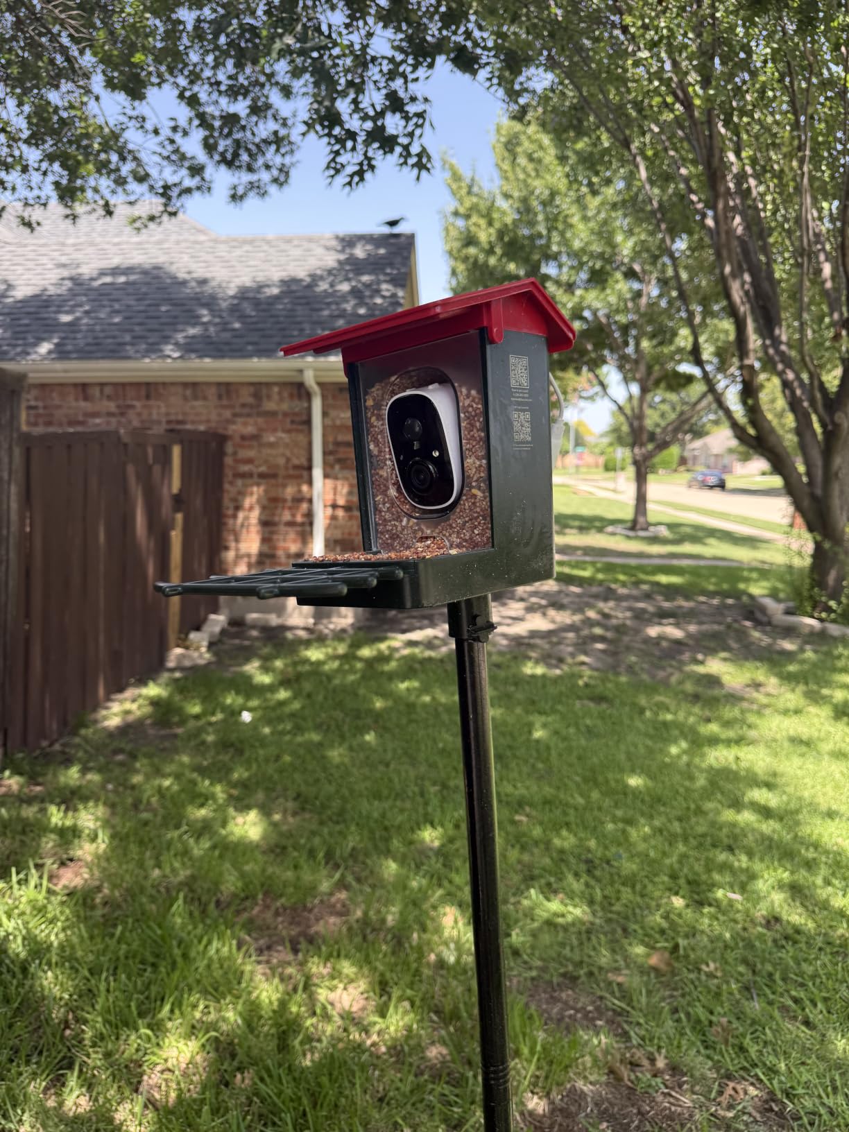 Smart Bird Feeder with Camera Solar Powered, 2K HD Video, AI Bird Species Identification, Instant Arrival Alerts, Weatherproof Design for Effortless Birdwatching, Best Gift for BirdLovers, Red customer photo 1