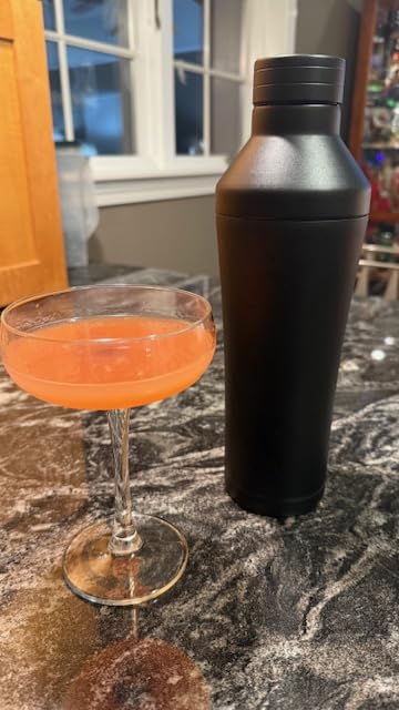 BARE BARREL Insulated Cocktail Shaker Set | Double Wall Stainless Steel | Martini Shaker for Home Bar Bartending | Built-in Drink Measure System & Strainer, Travel Bag, Recipes | Gift Set (Ryl Copper) customer photo 1